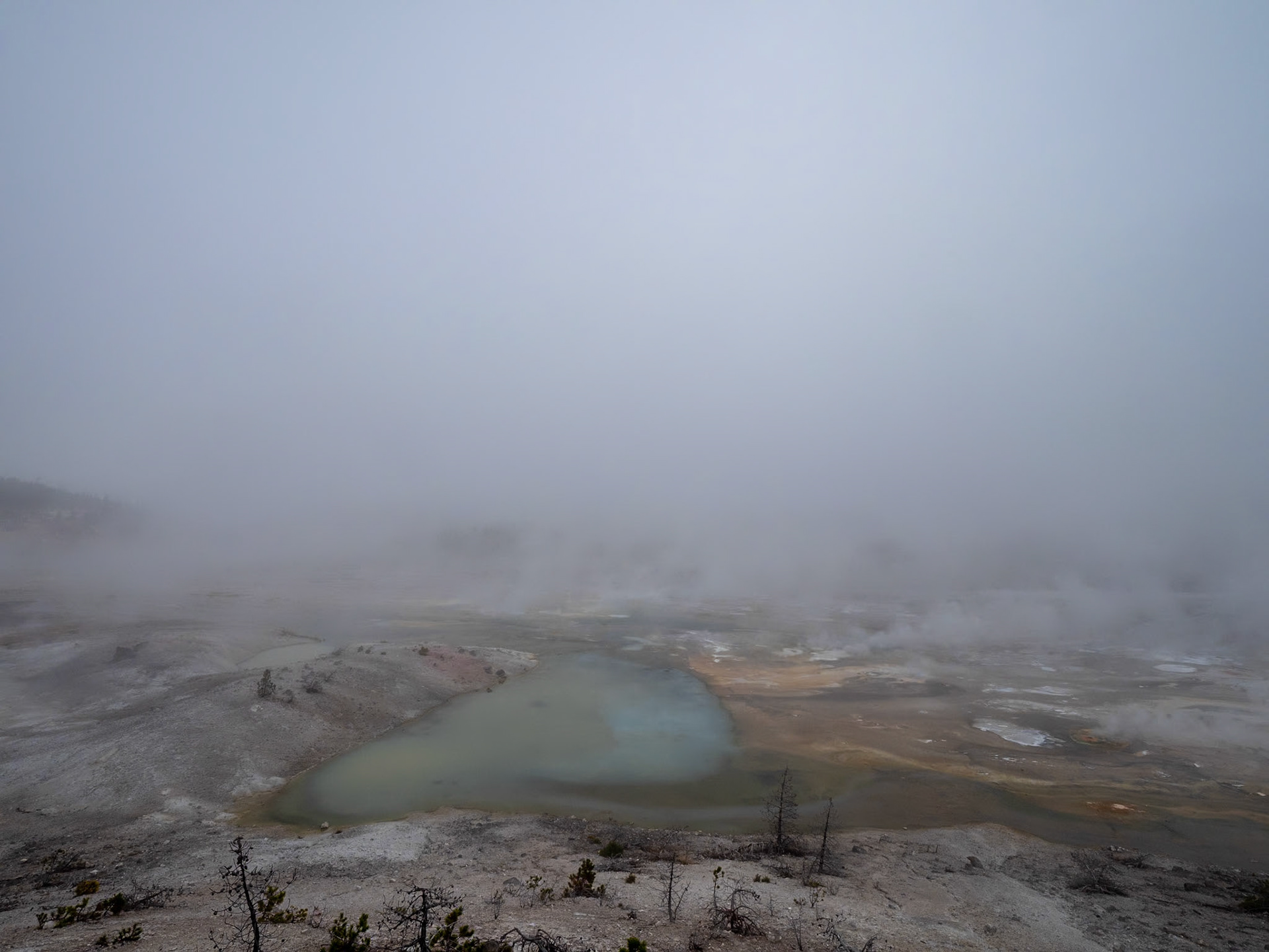 P1124447 Yellowstone National Park
