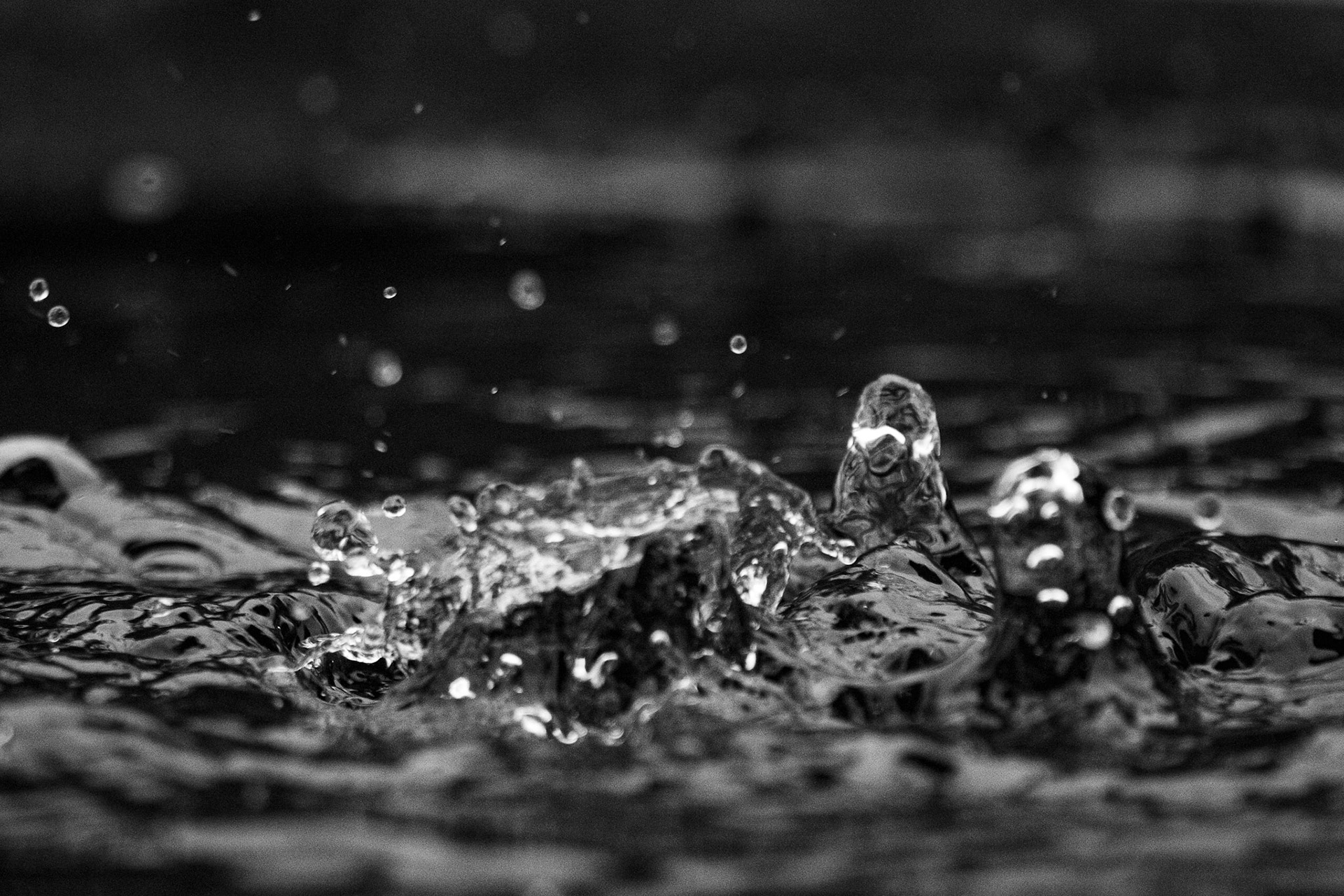 P1069572 Movement of playful drops