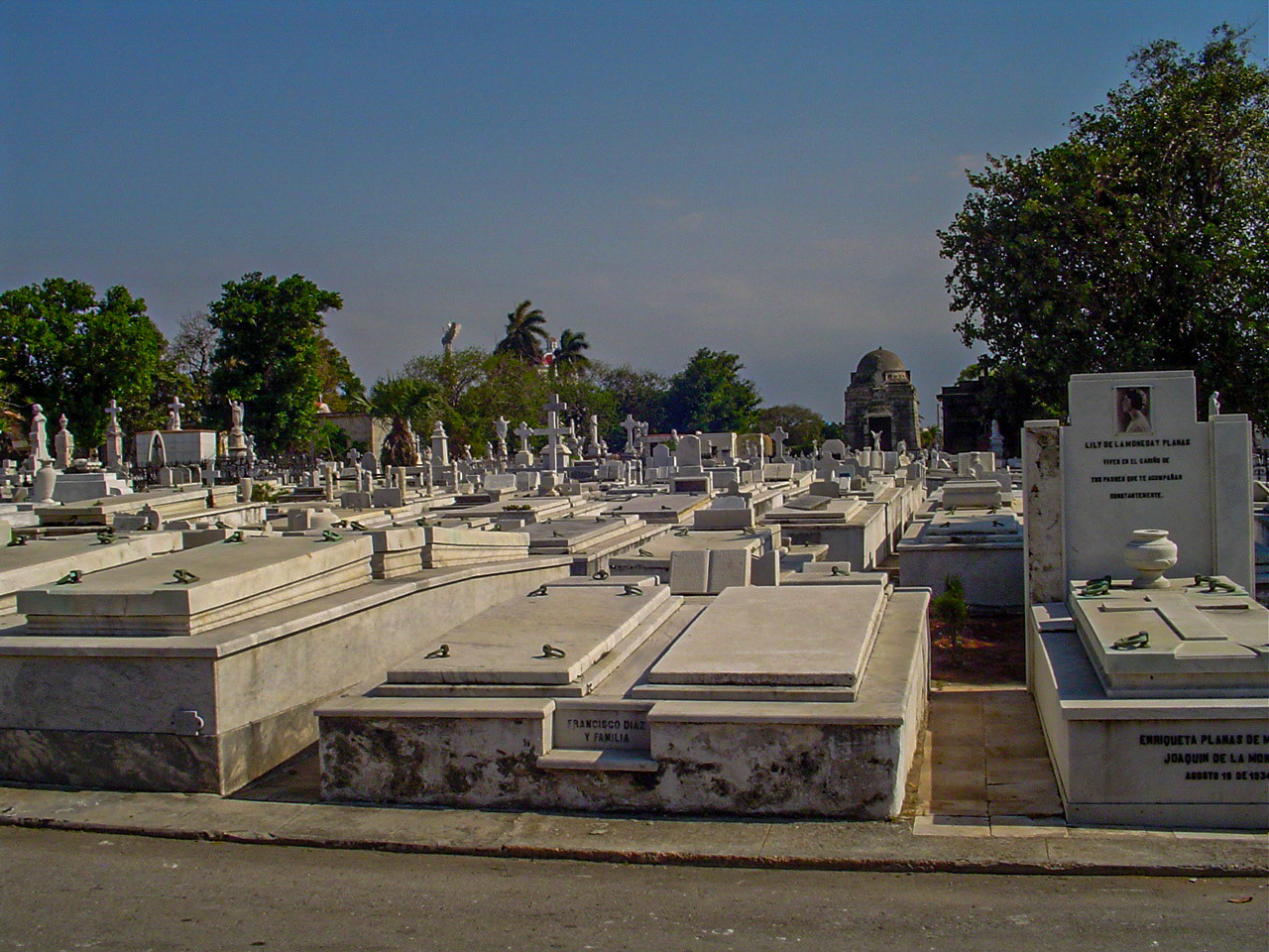 DSC01771