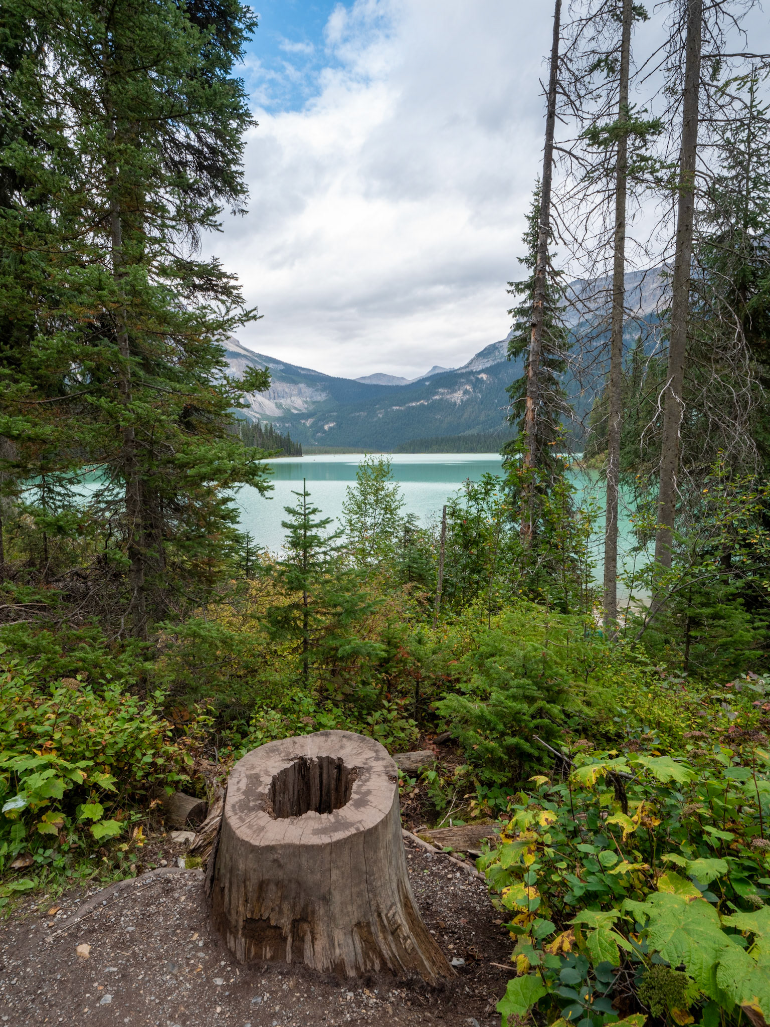 Emerald Lake