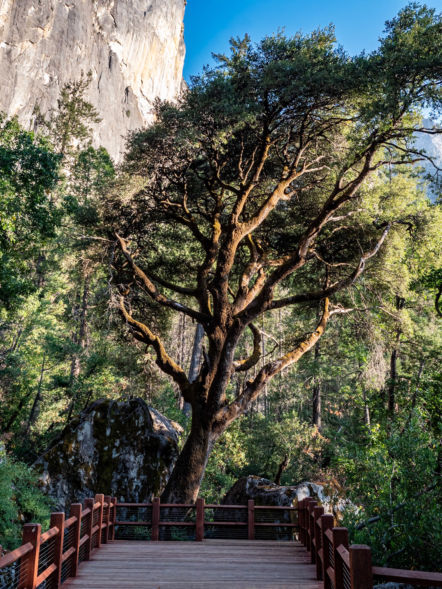P1135361 Yosemite National Park