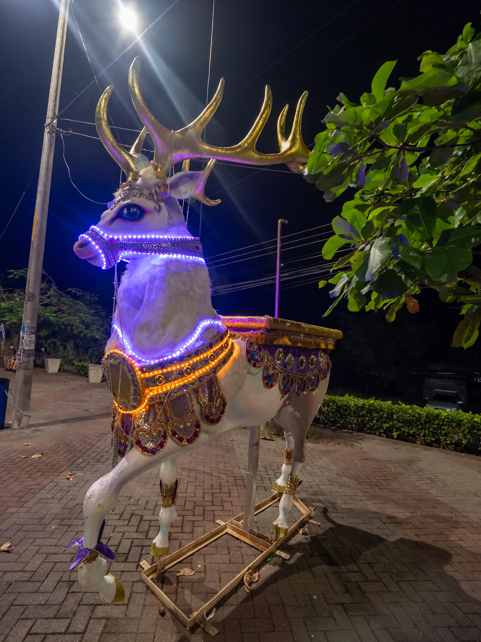 P1147177 After a lovely soak at the waterfall, as late evening approaches a walk through the town of Quepos, a lighted Raindeer