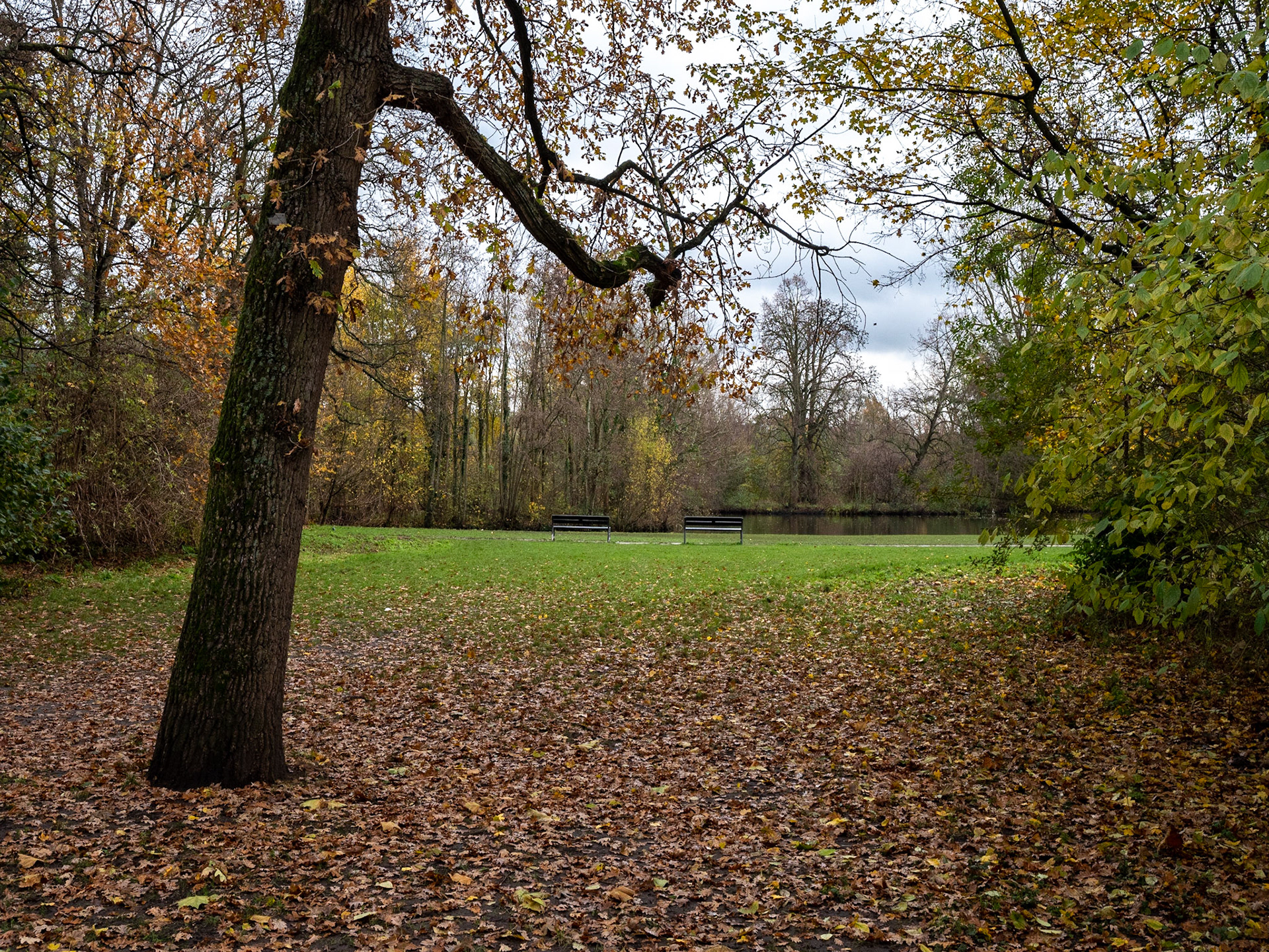 P1068110 Vondelpark