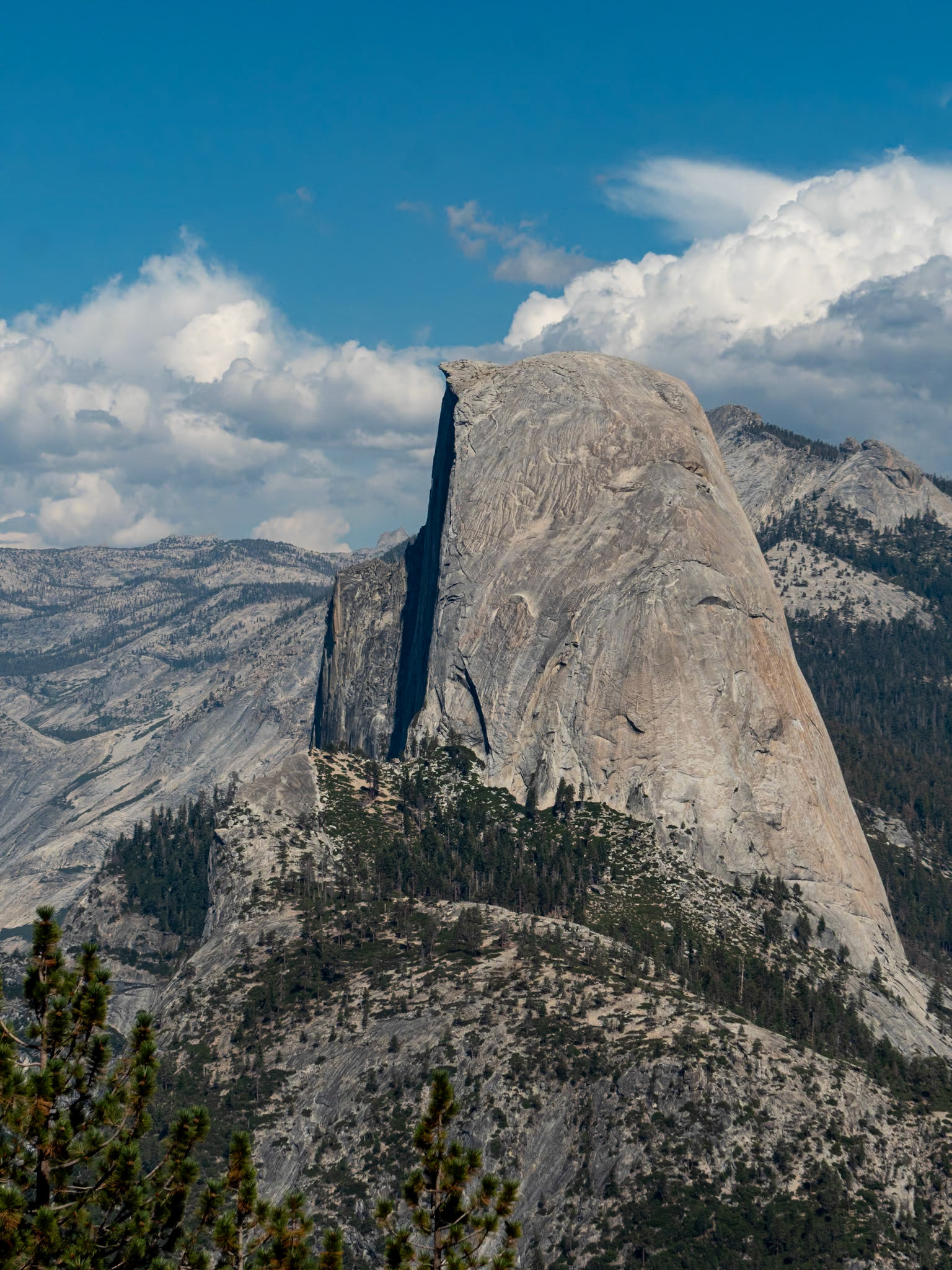 P1135486 Yosemite National Park