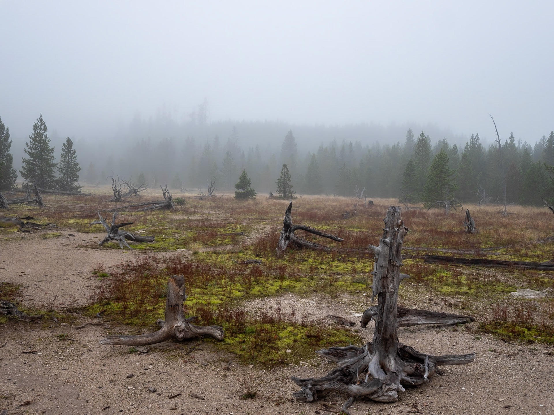 P1124437 Yellowstone National Park
