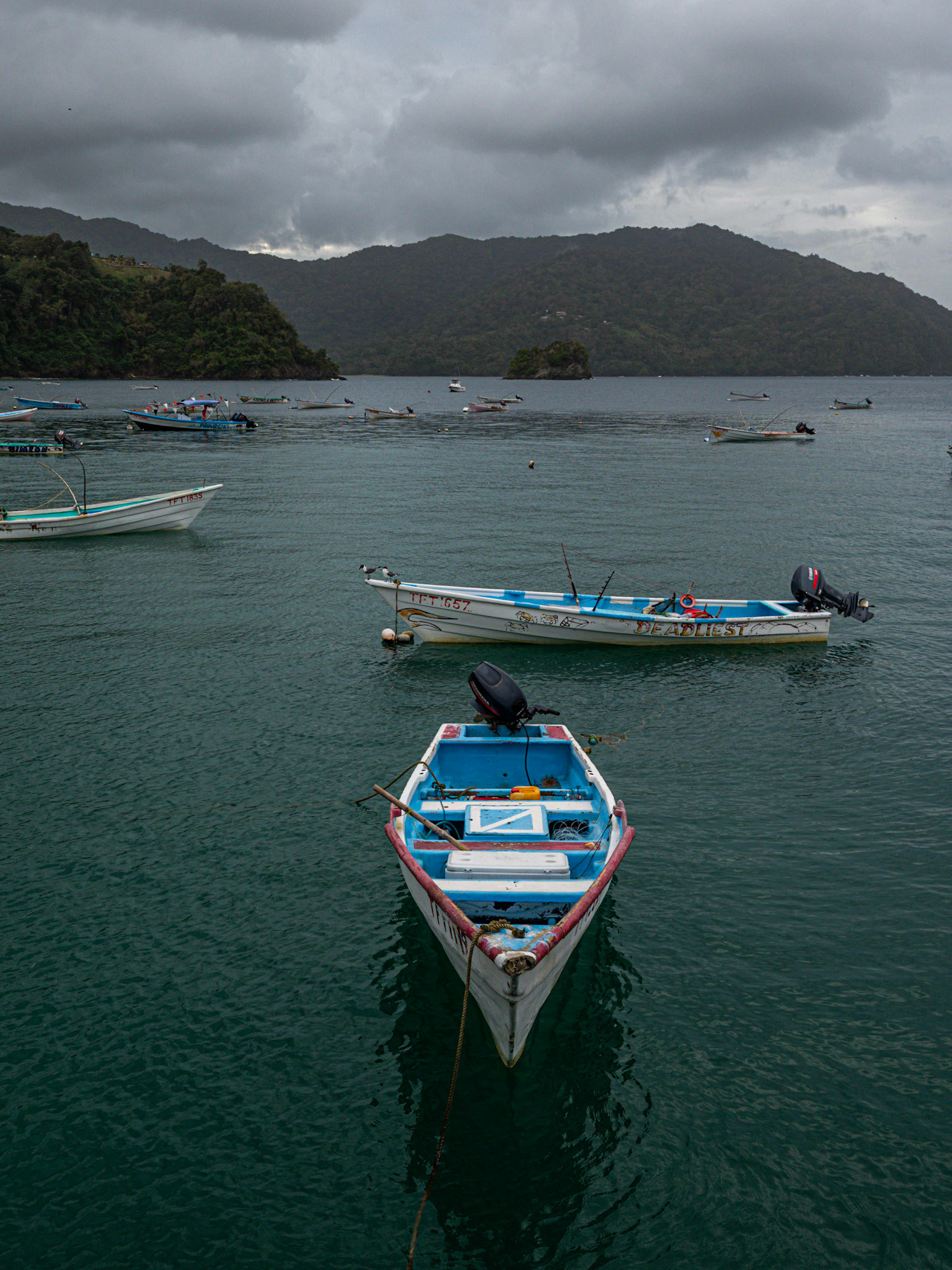P1055173 Charlotteville