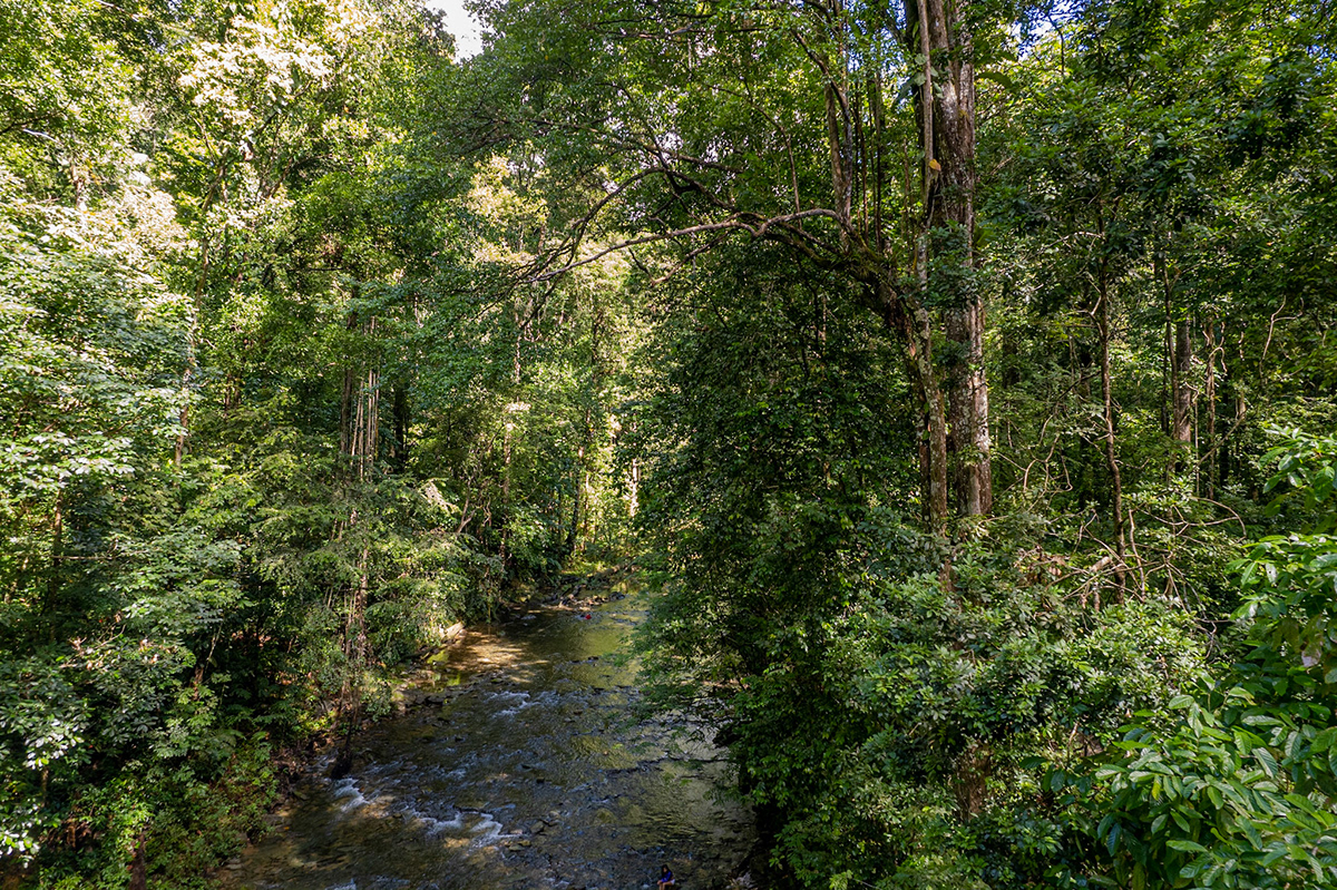 Wayne Homer Photography - Matura River Mystique Pool Trinidad