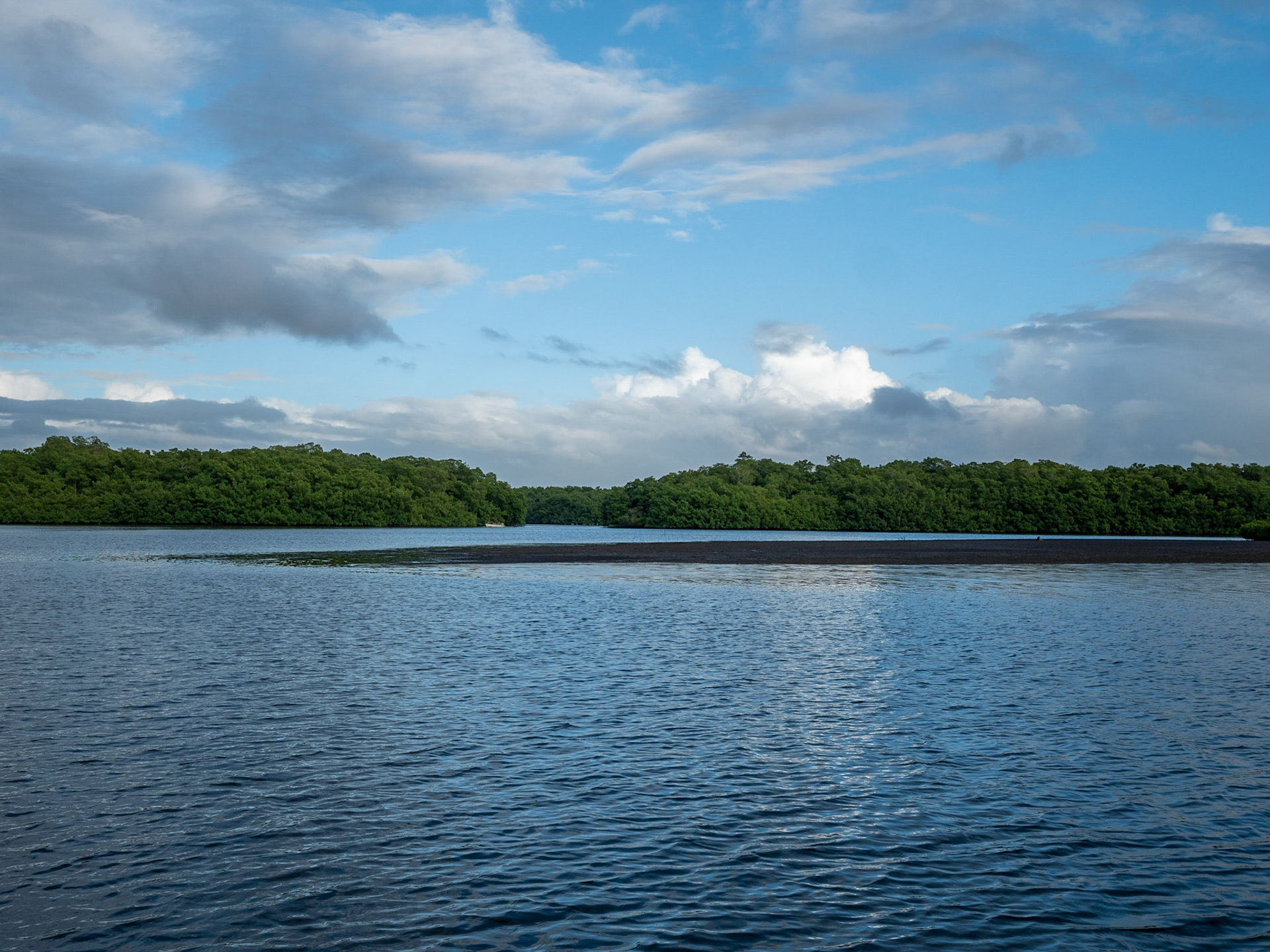 P1054509 Caroni Bird Santuary