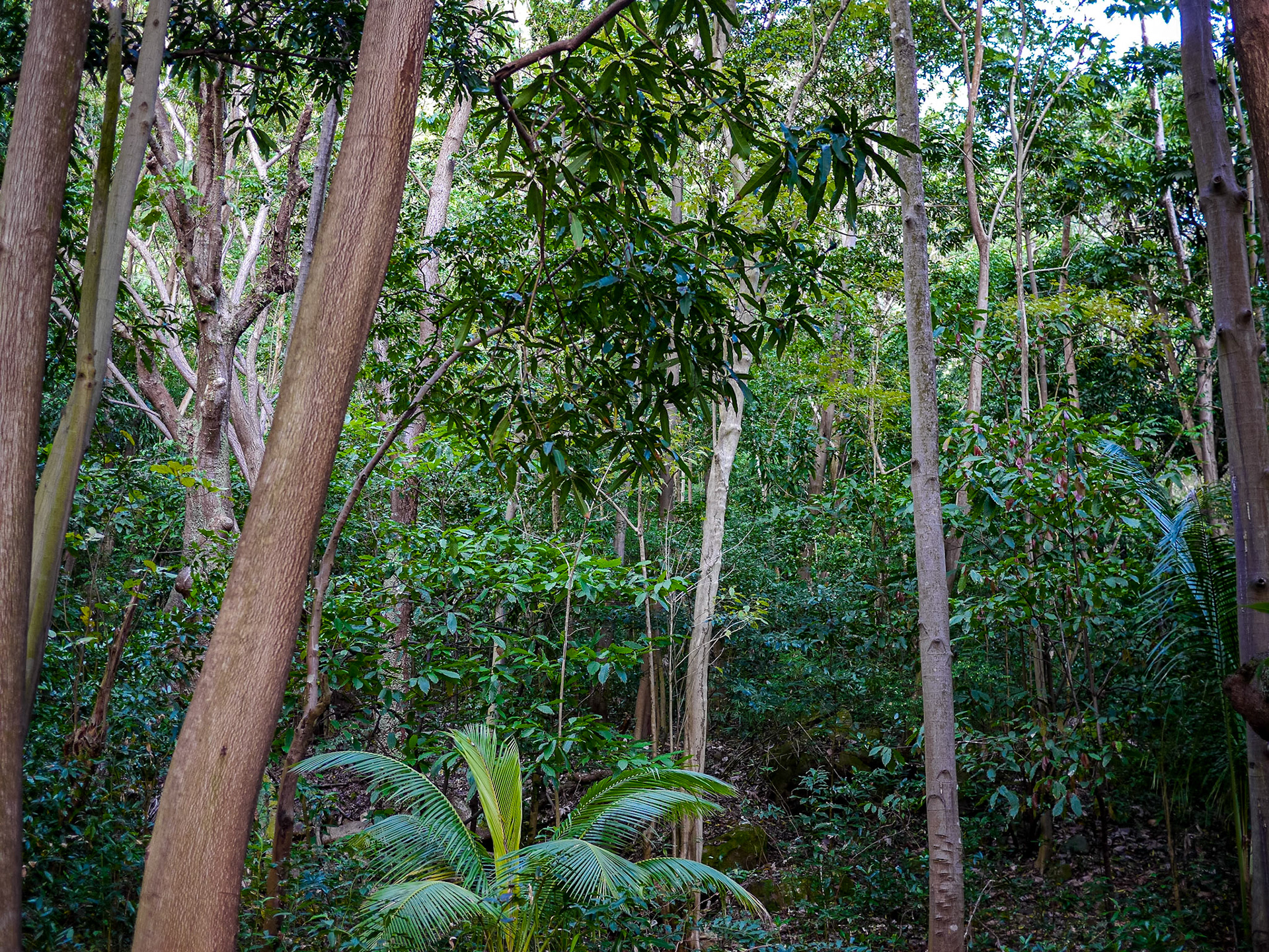 P1040891