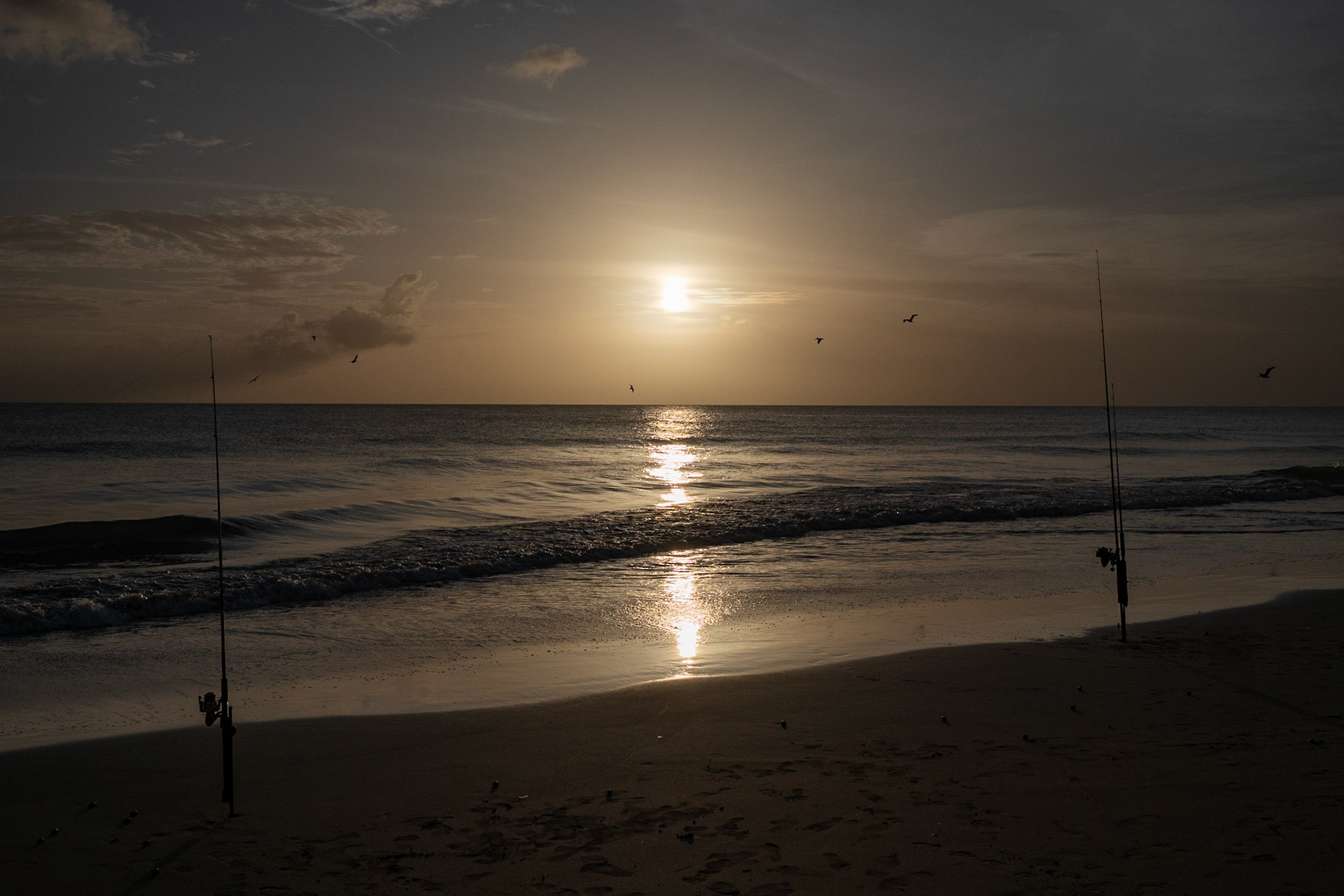 P1071215 The fishing poles salute the setting sun