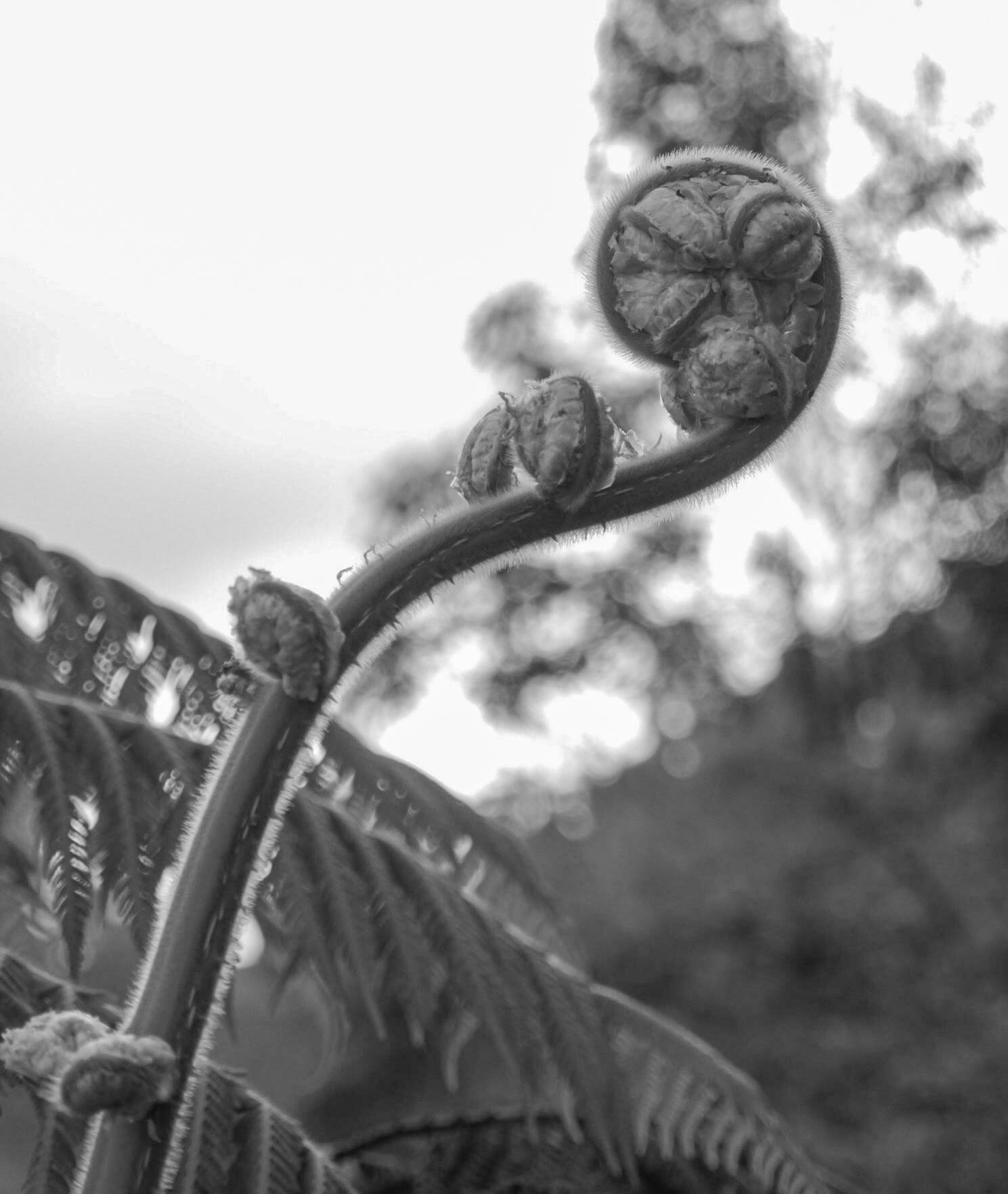 P1020136