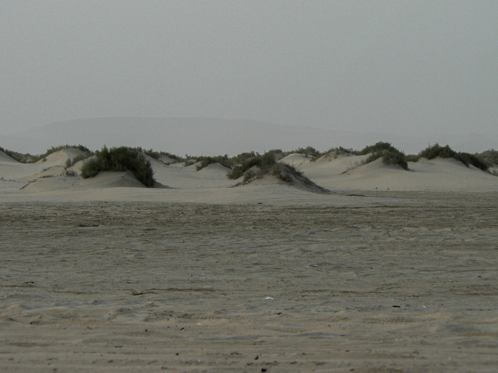 P1050442 Desert