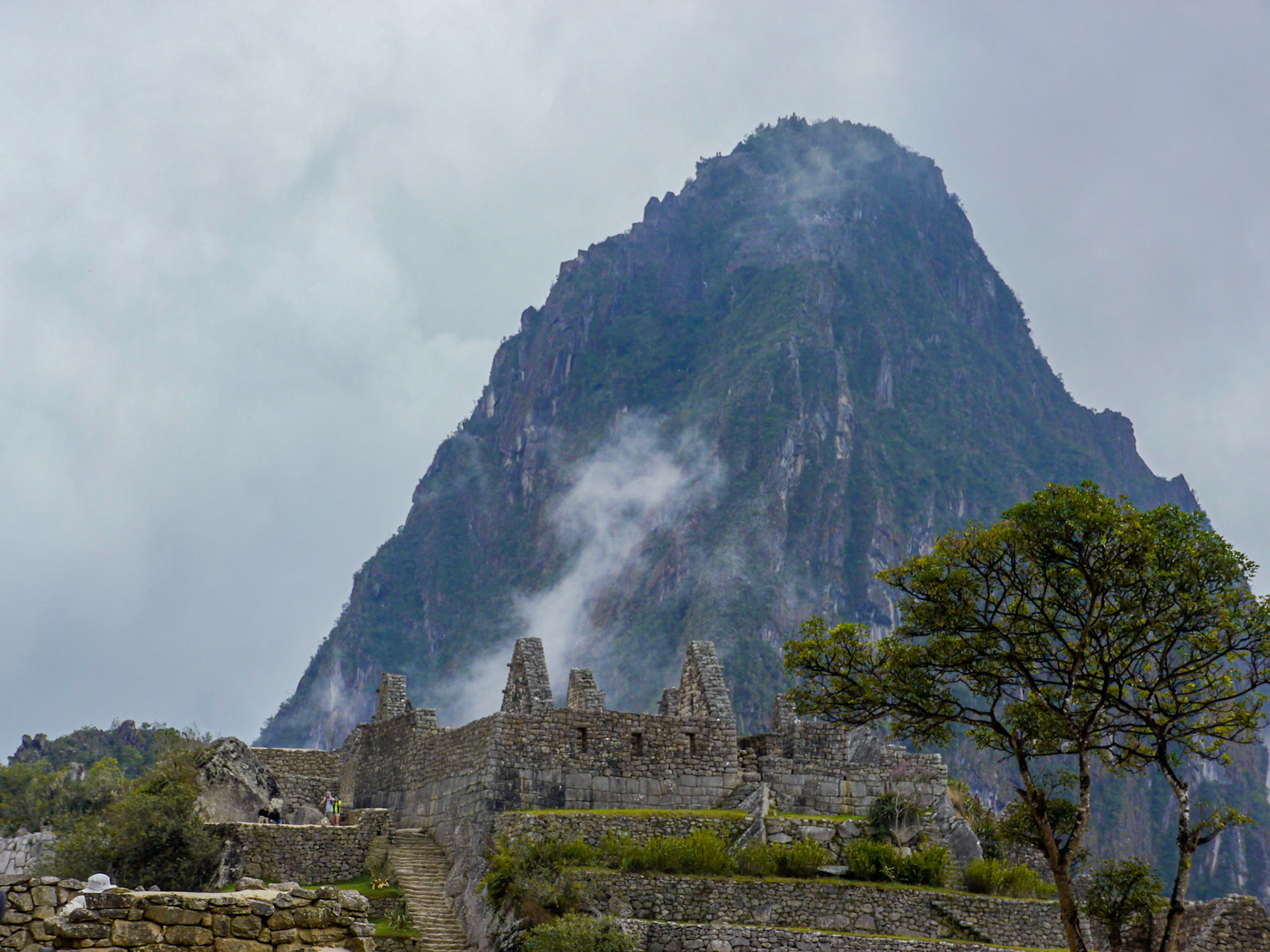 P1090124 Machu Picchu