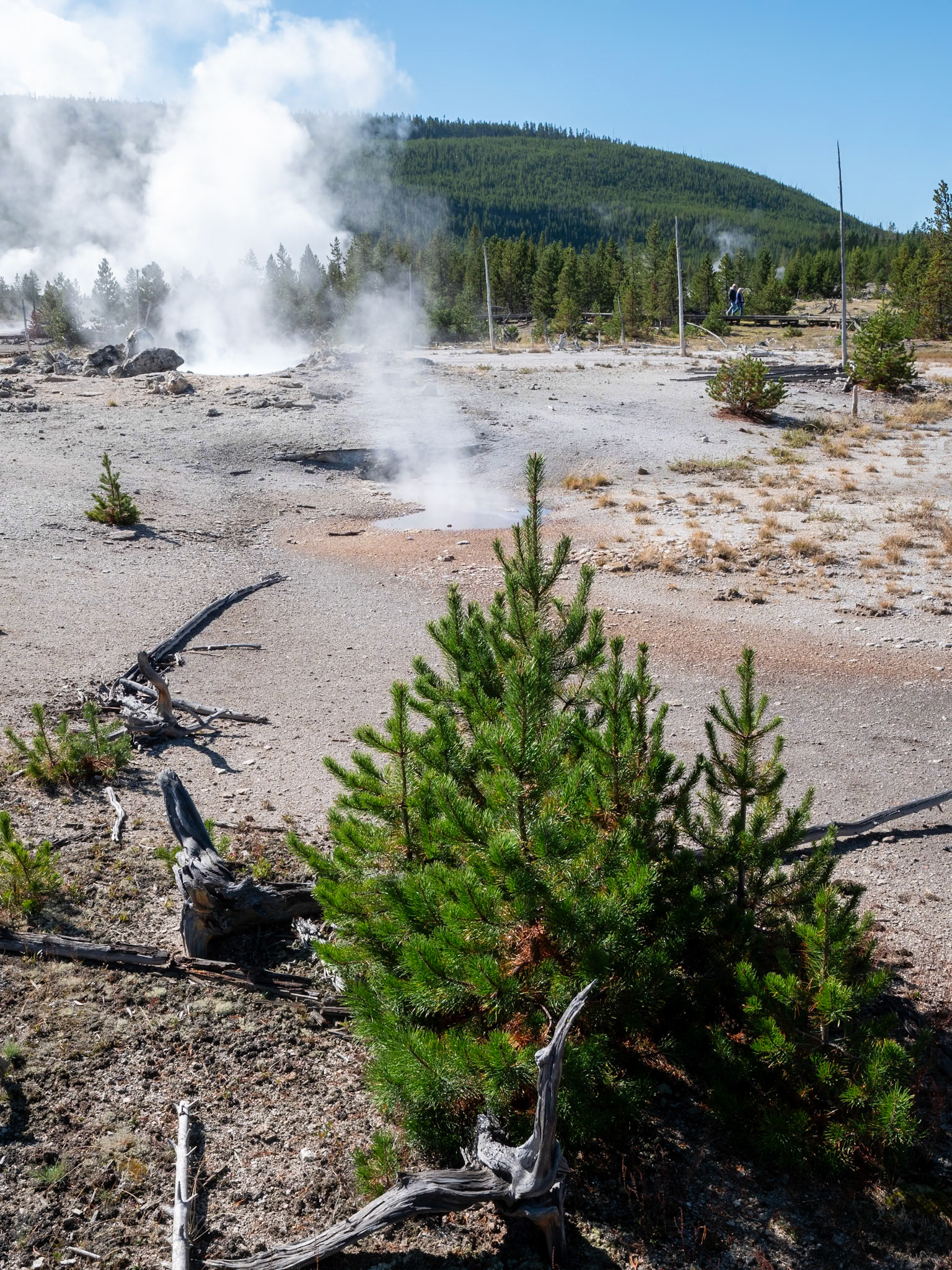 P1124508 Yellowstone National Park