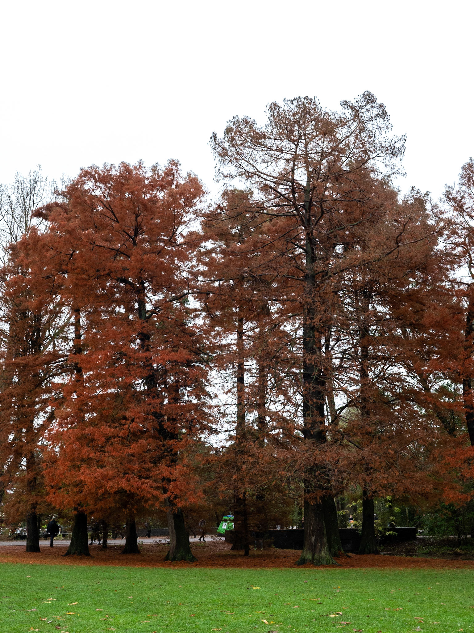 P1068265 Vondelpark