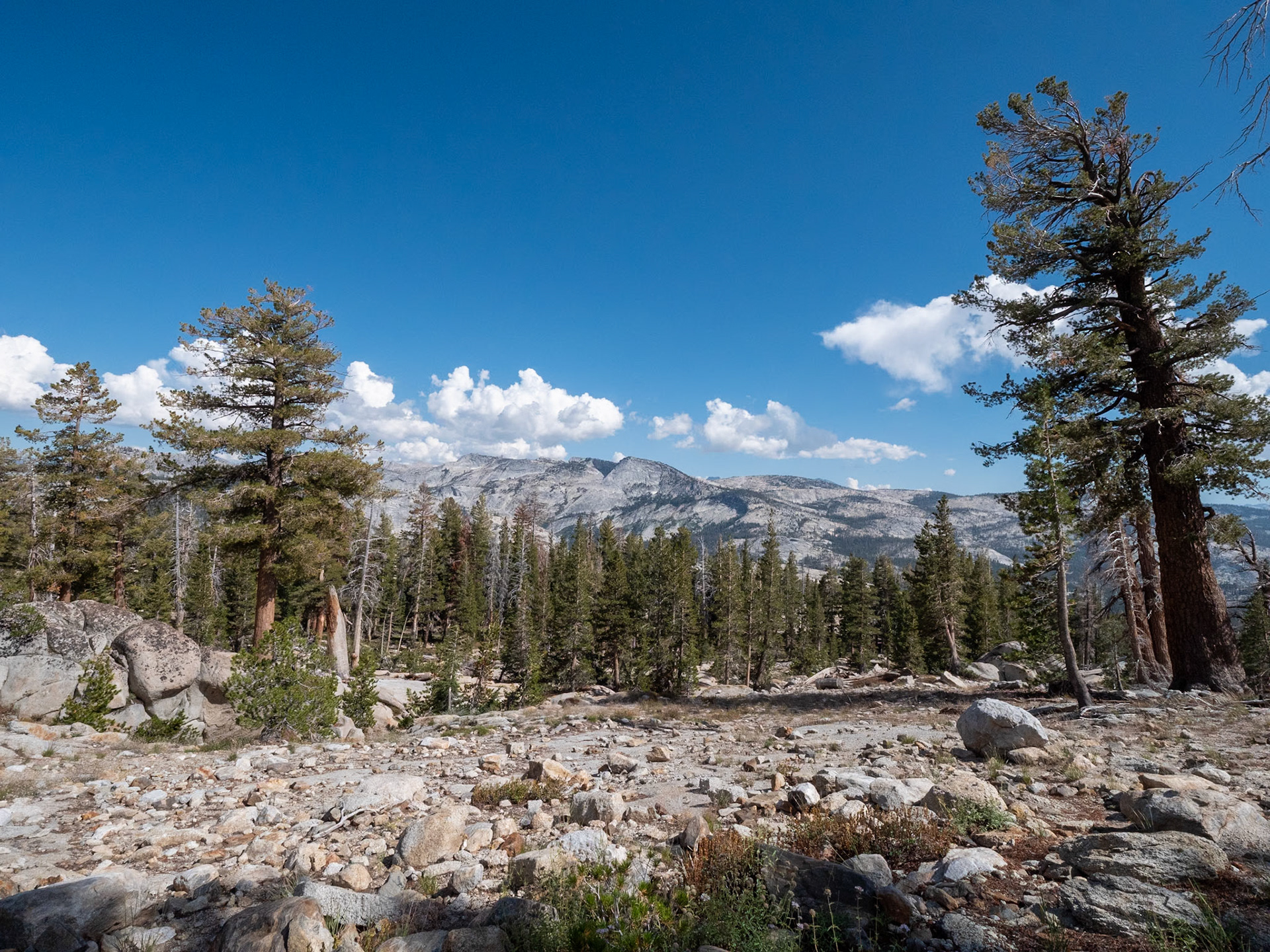 P1135263 Yosemite National Park