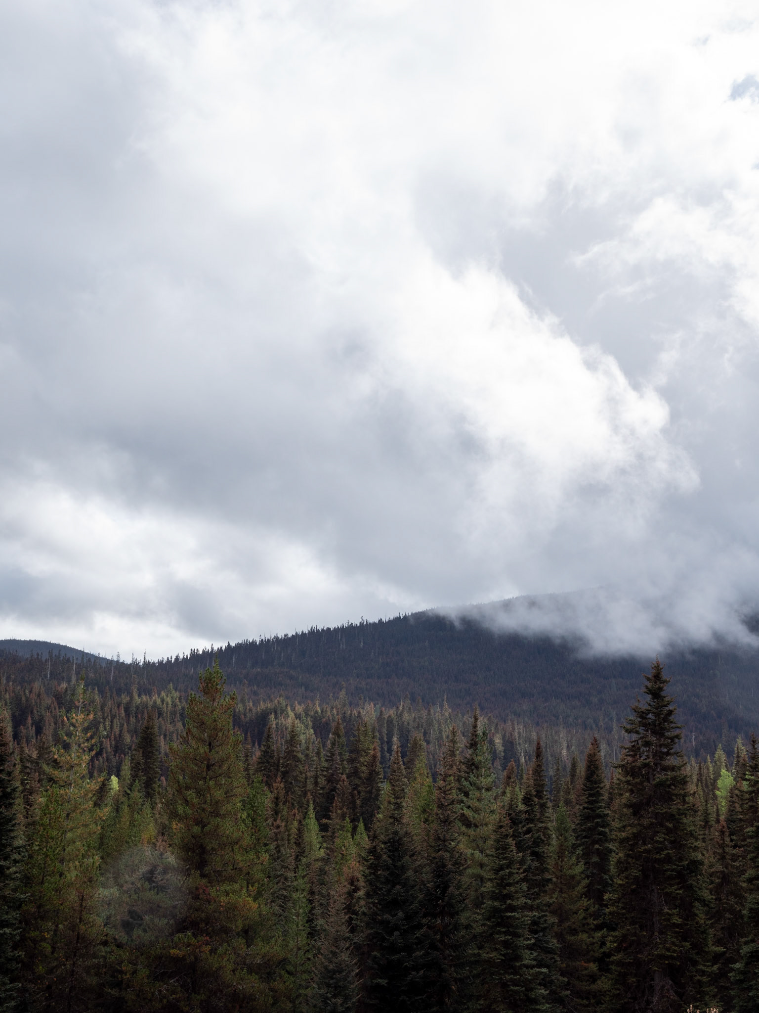Scenery off Coquihala Highway