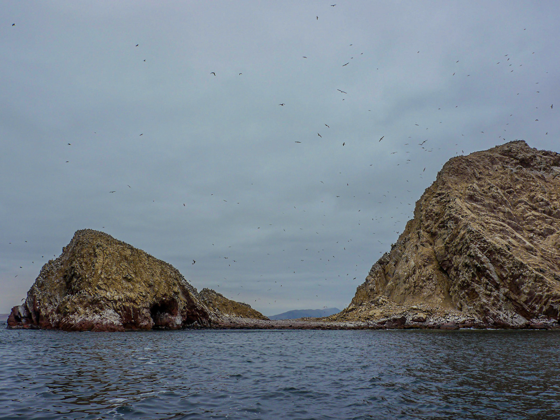 P1090660 Ballestas Islands