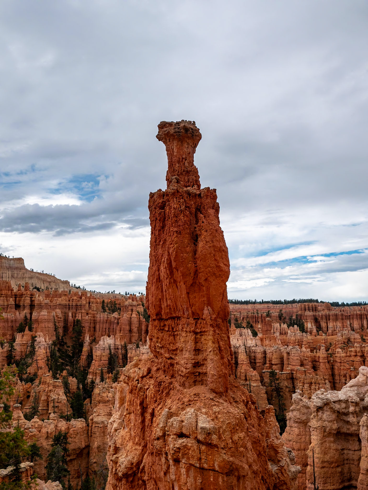 P1123653 Bryce National Park