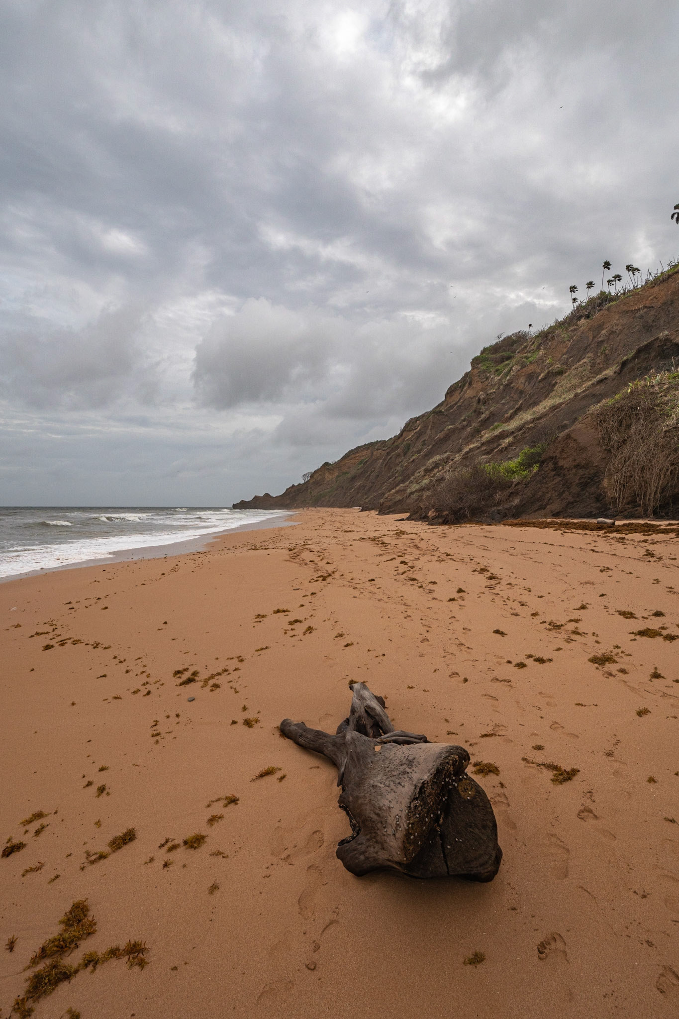 P1069702 Lonely beach