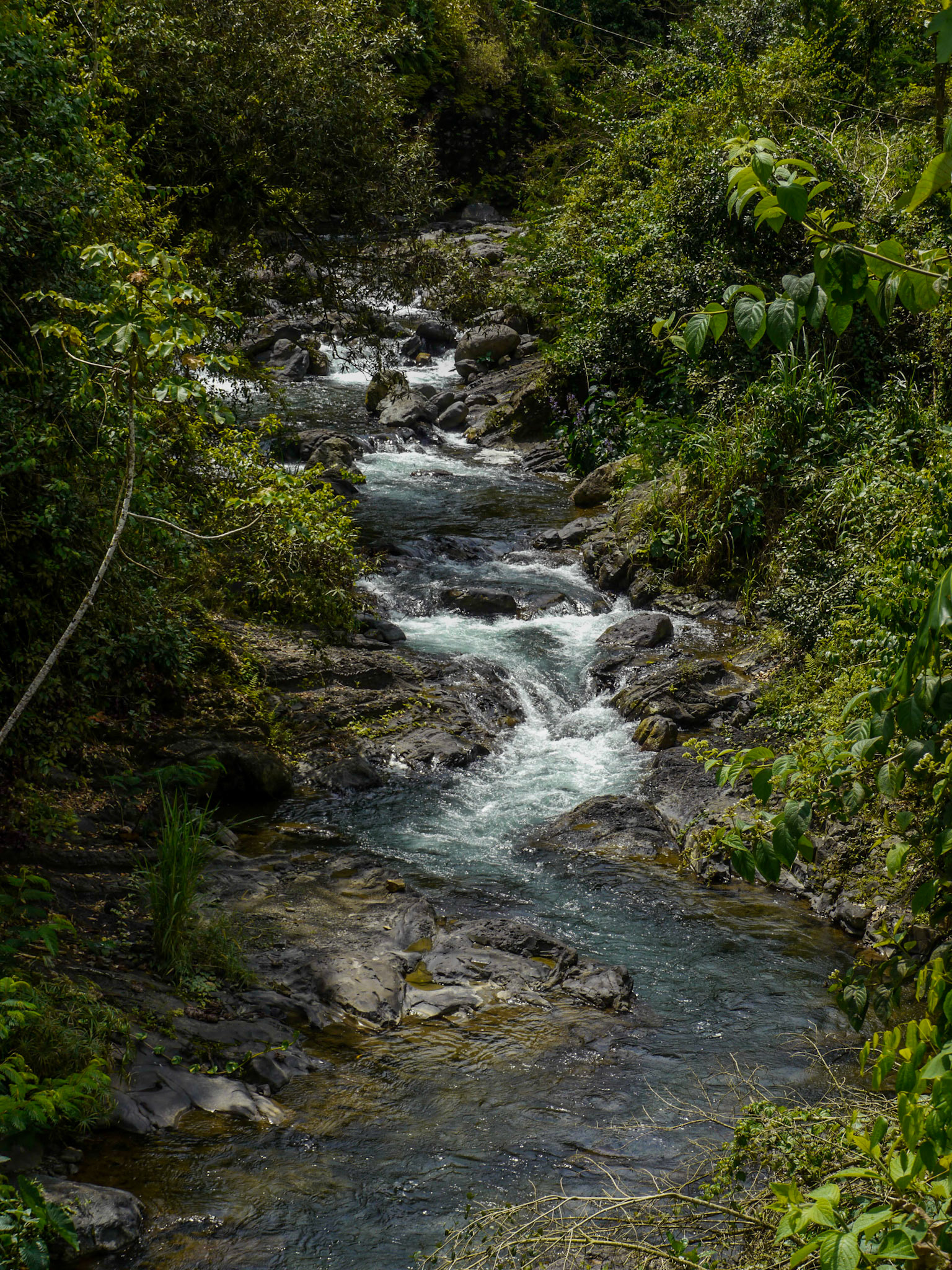 P1010970