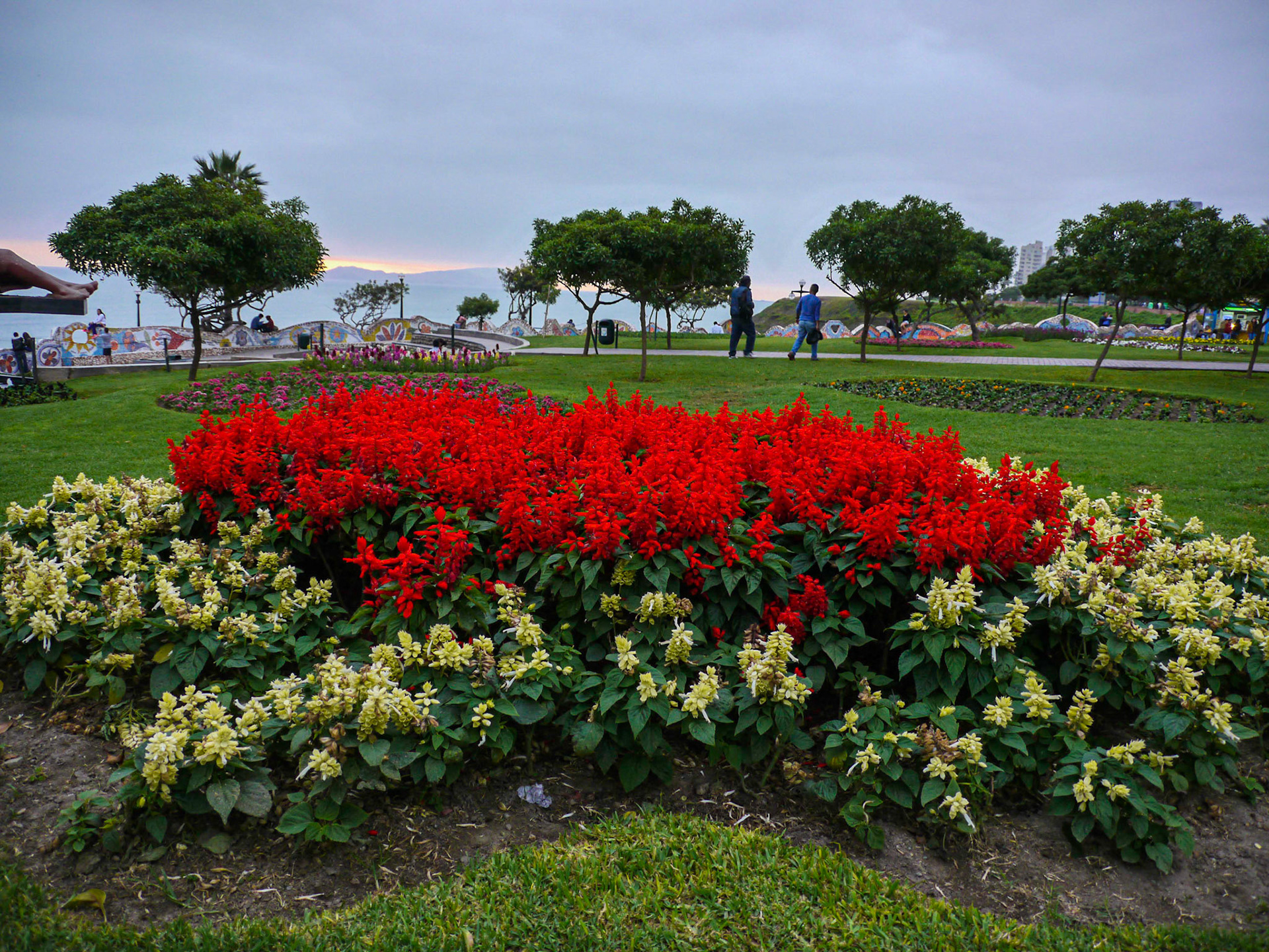 P1080635 Lima