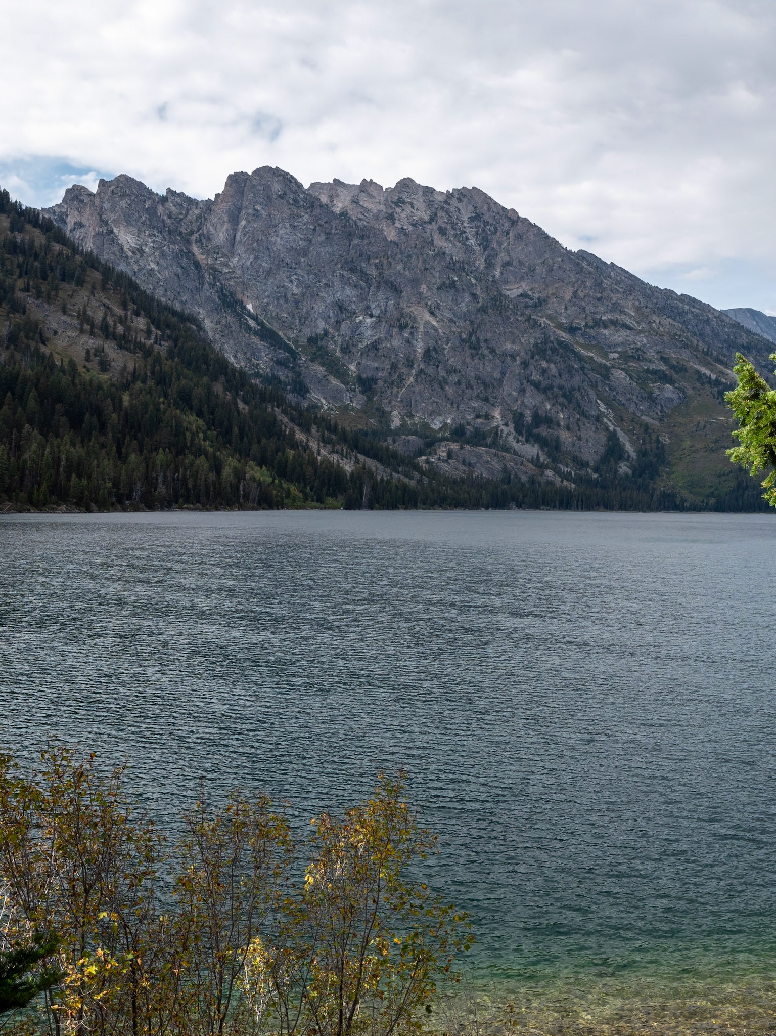 P1123978 Grand Teton National Park