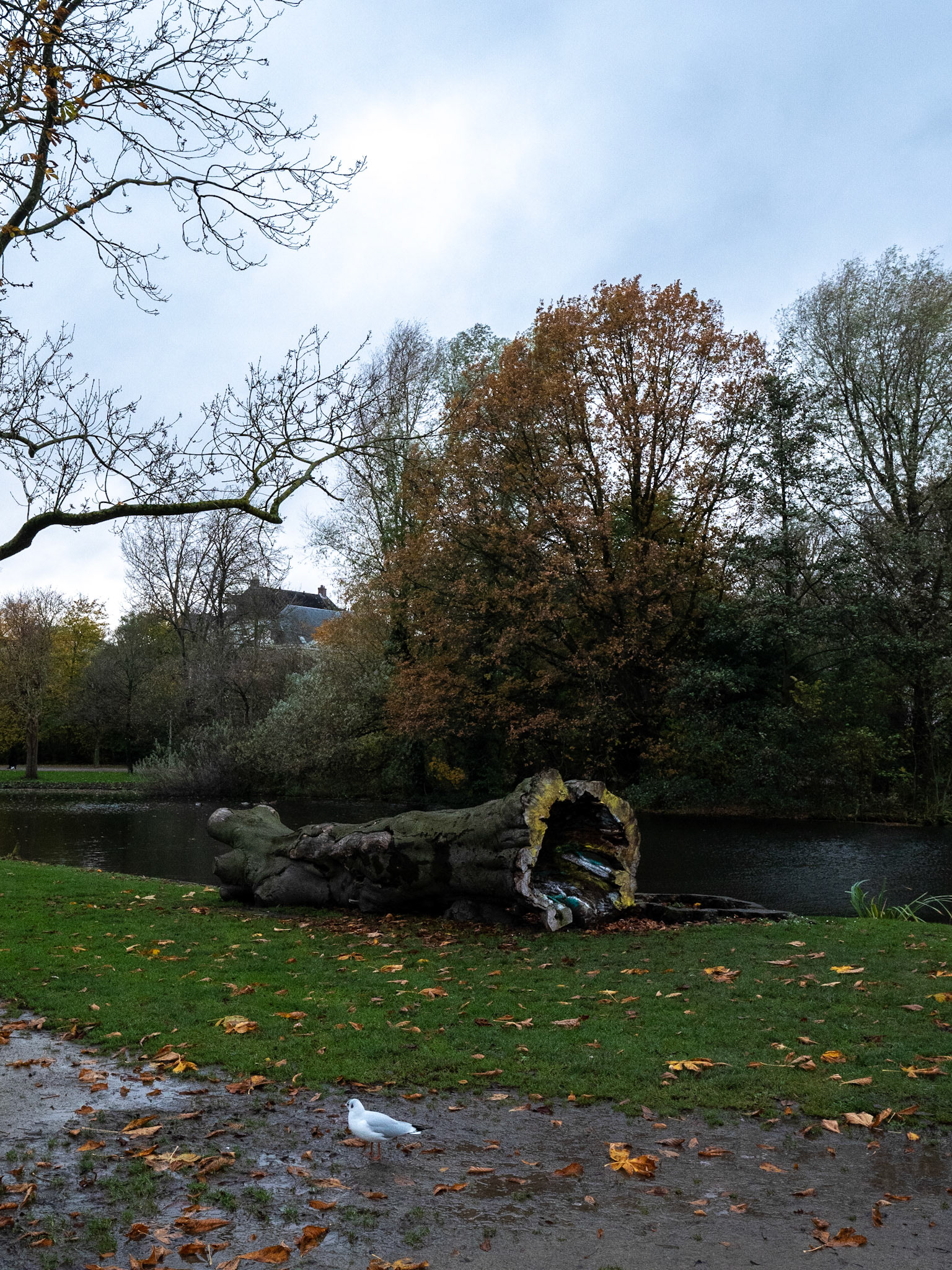 P1068168 Vondelpark