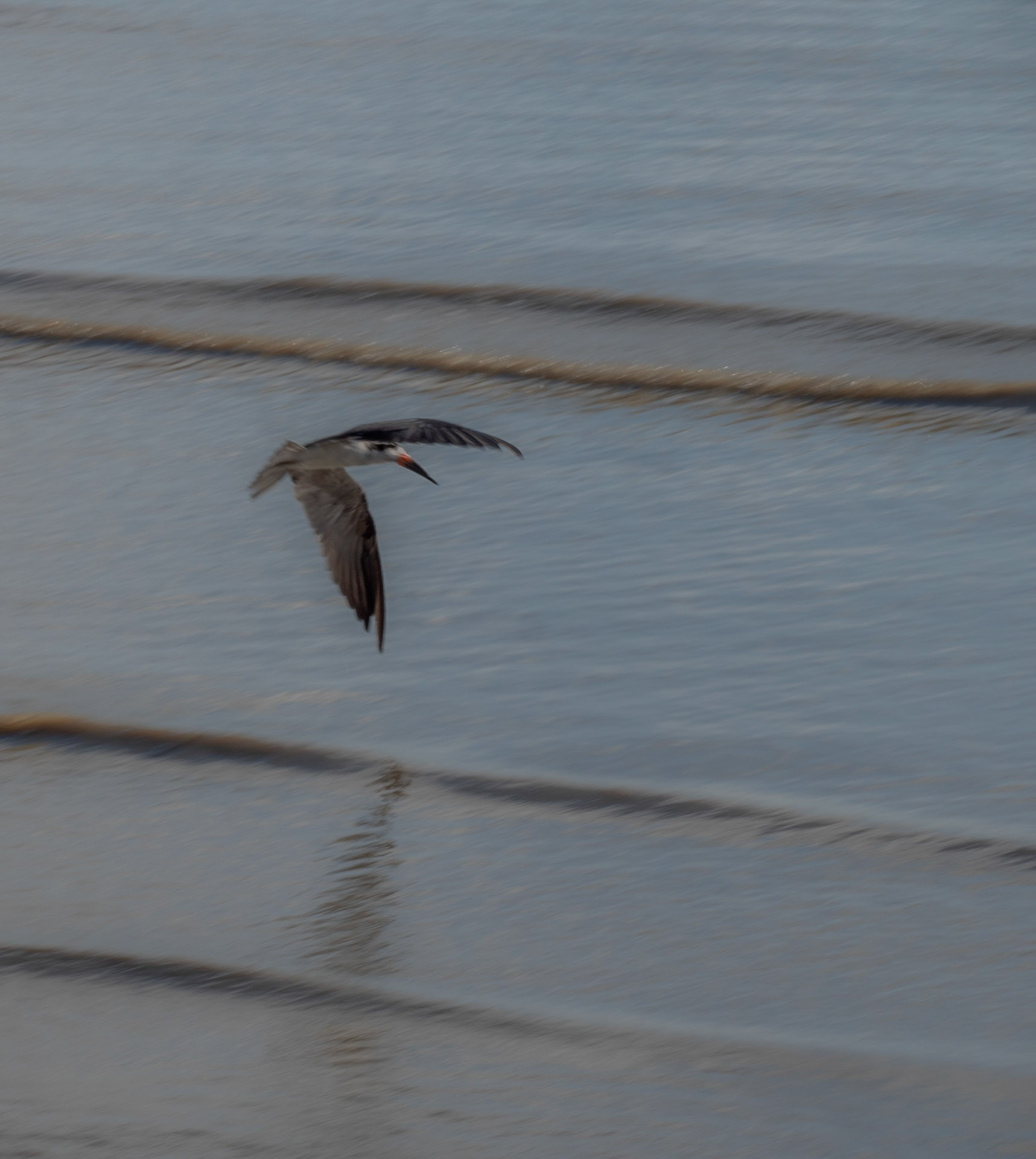 P1067188 Solo flight