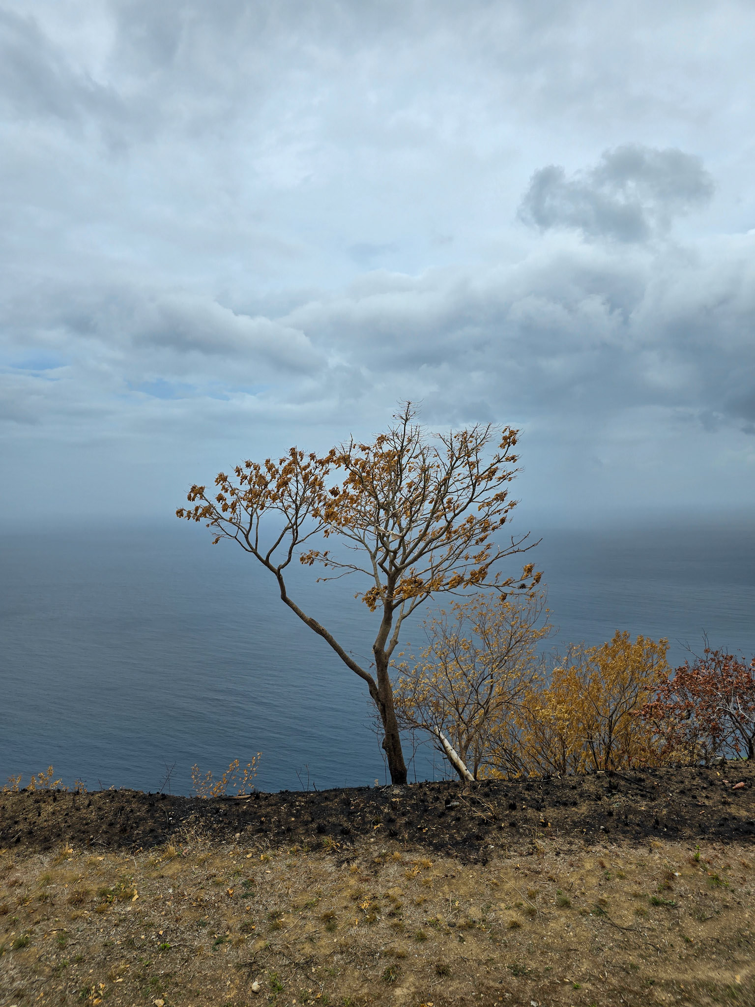 Look Out before Castara Bay