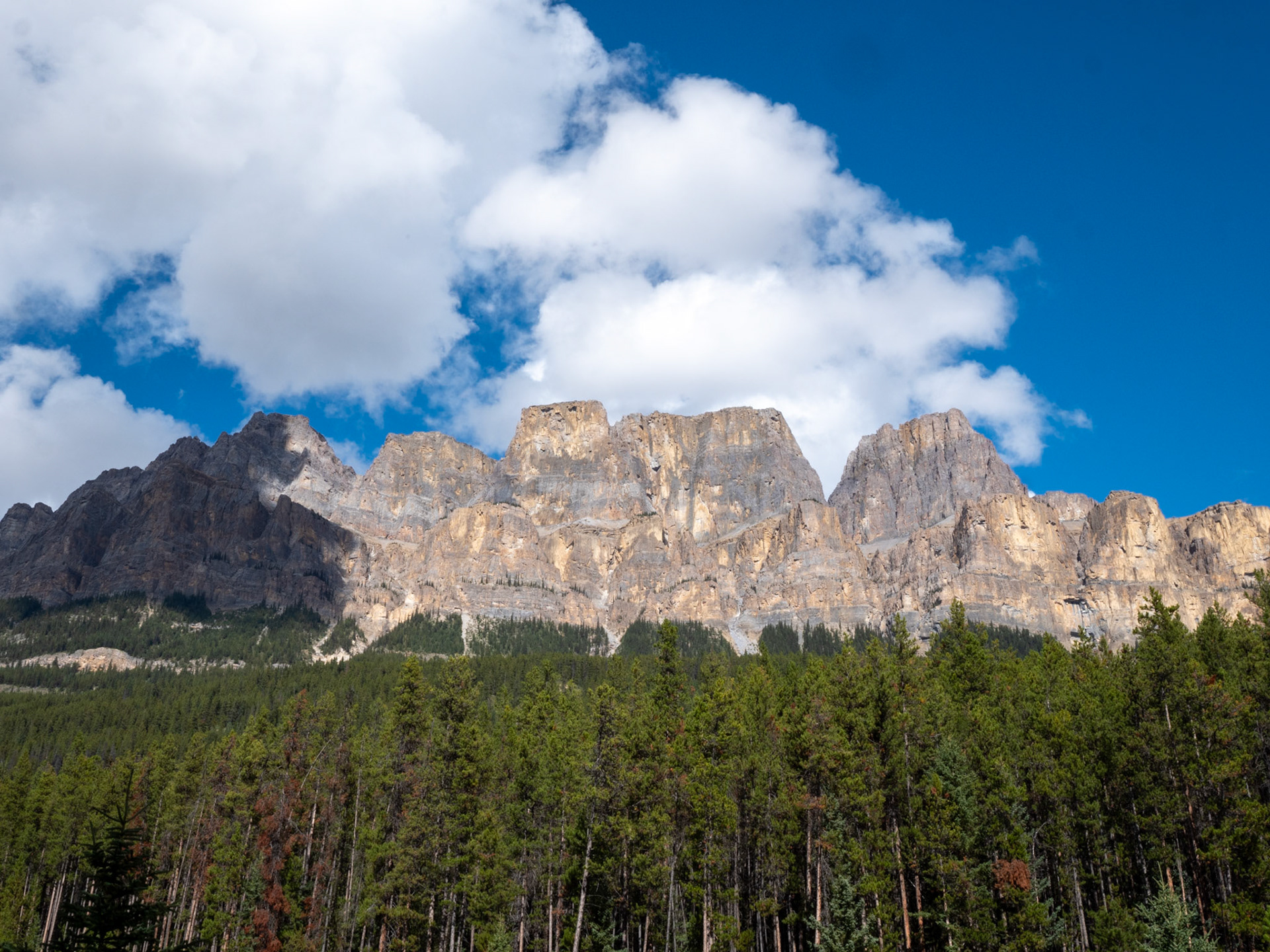 View from Bow Valley Parkway