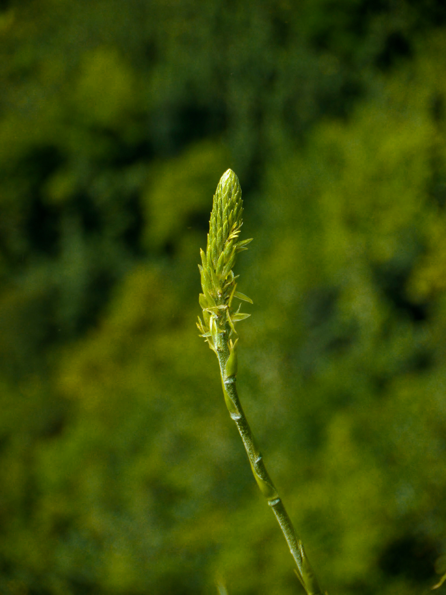 P1040757