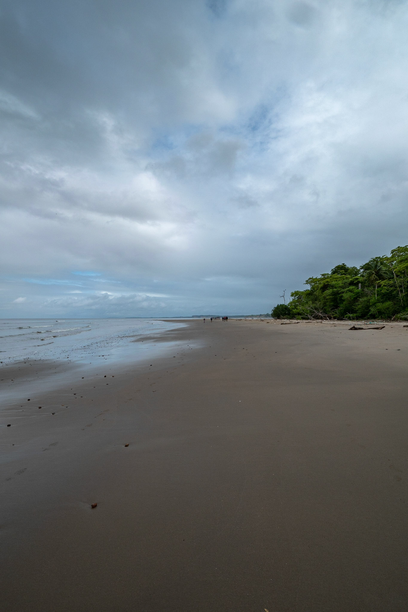 P1071543 Lovely low tide