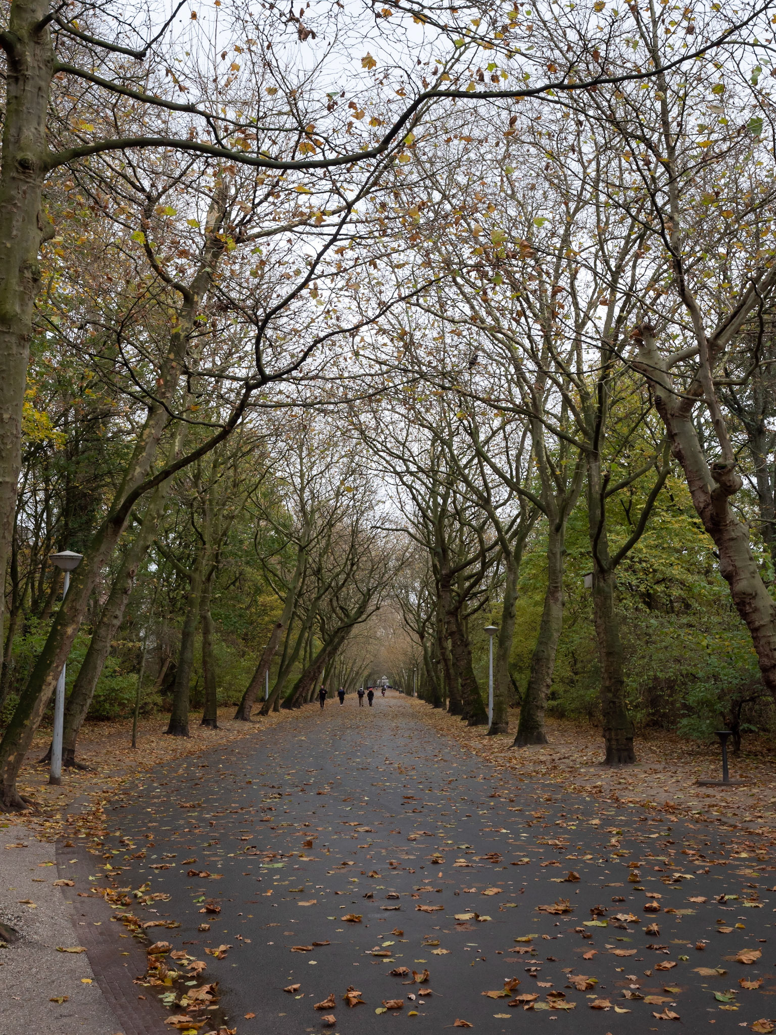 P1068108 Vondelpark