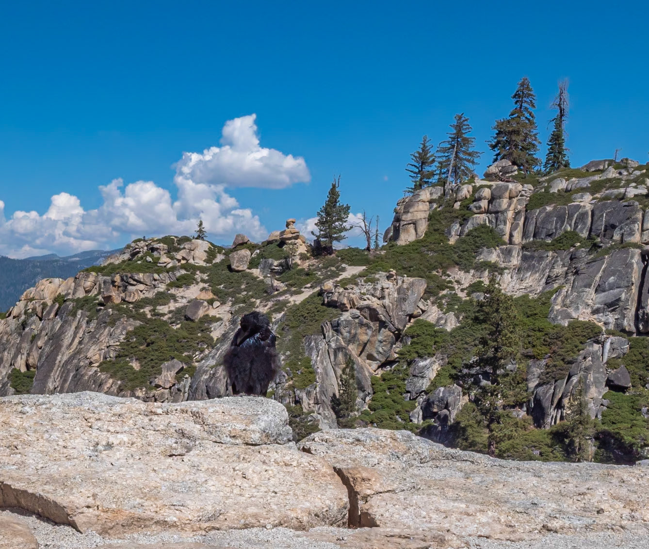 P1135454 Yosemite National Park