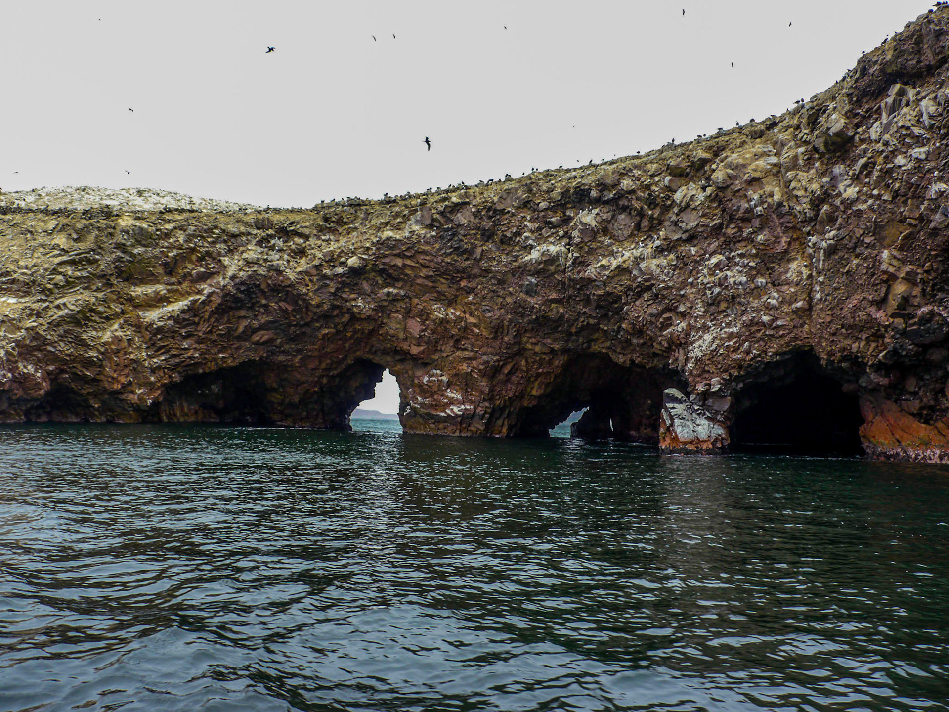 P1090595 Ballestas Islands