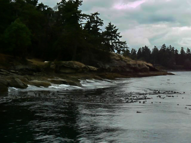 P1010645 Boat Ride to Victoria