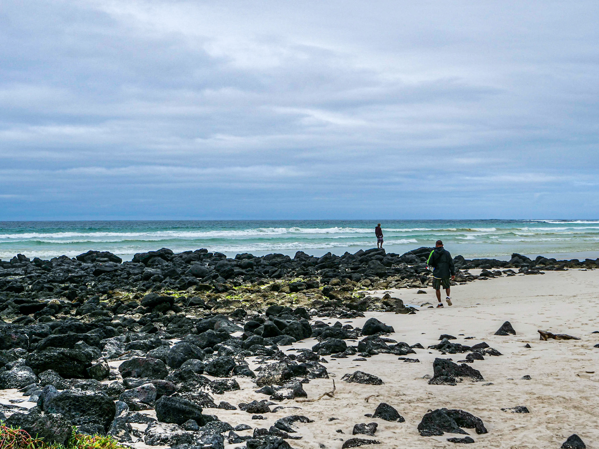 P1001791 Tortuga Bay, Santa Cruz Island Galapagos