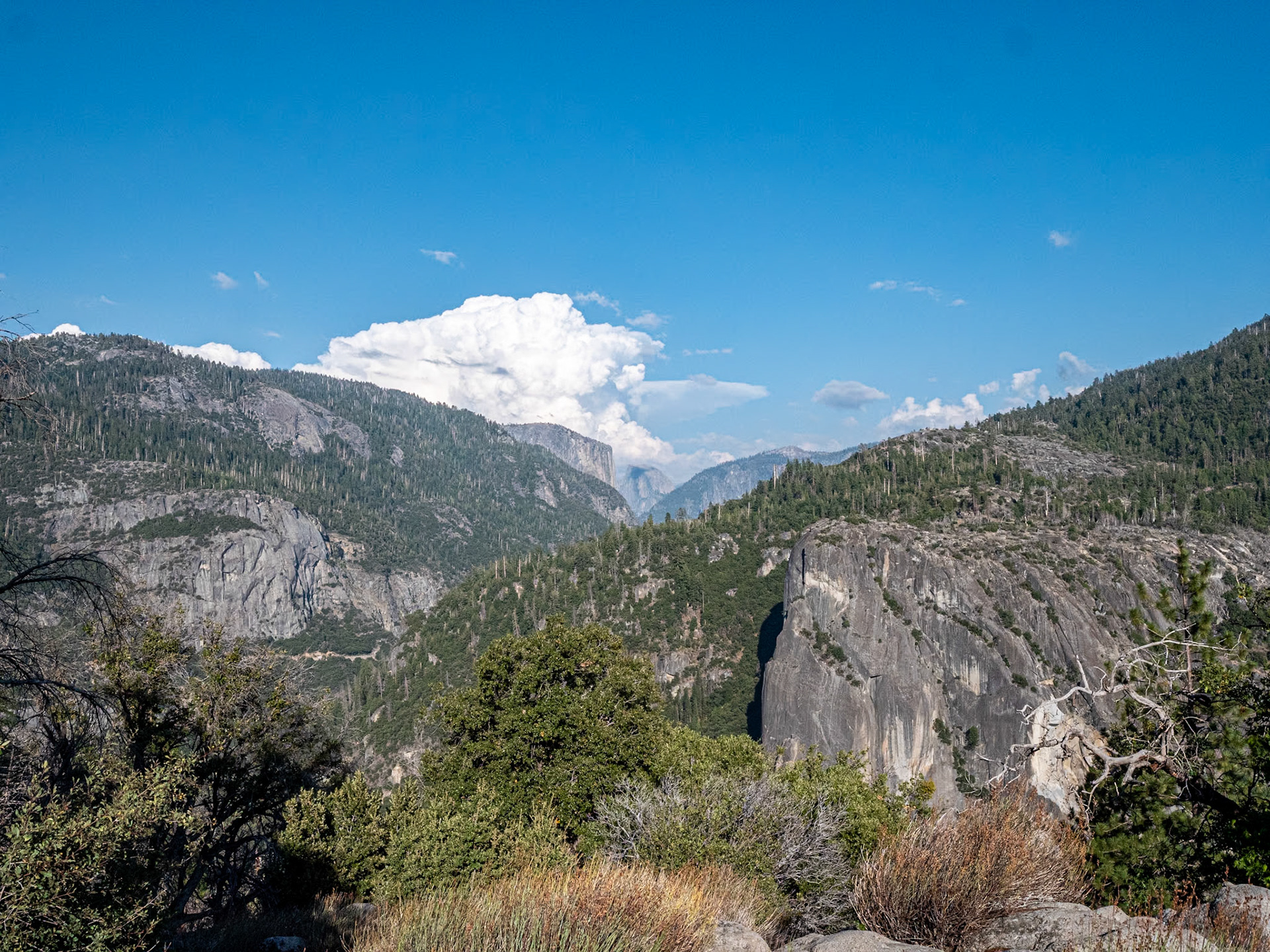 P1135335 Yosemite National Park