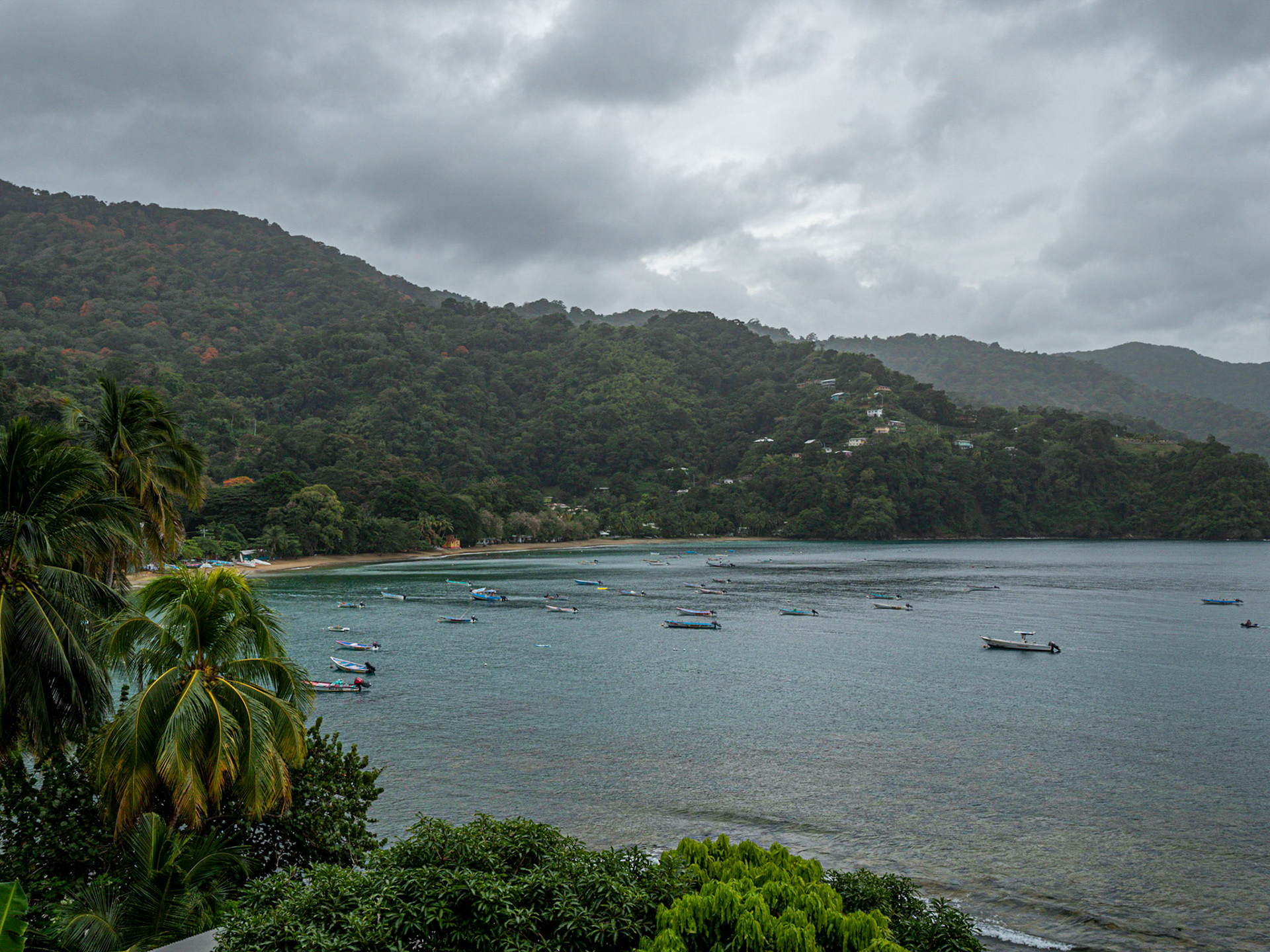 P1055019 Charlotteville