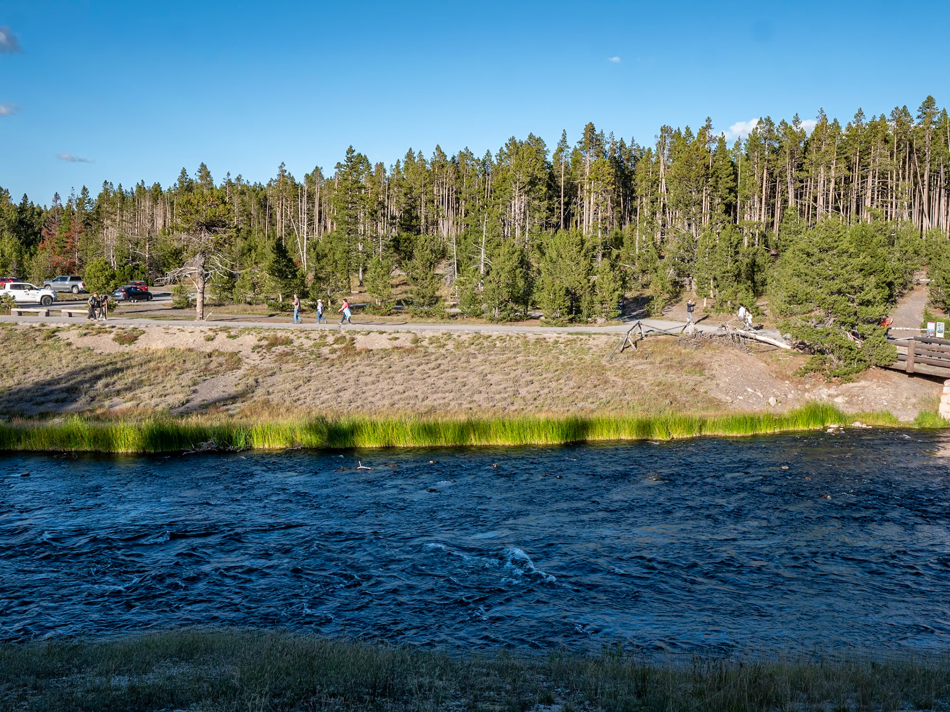 P1134742 Yellowstone National Park