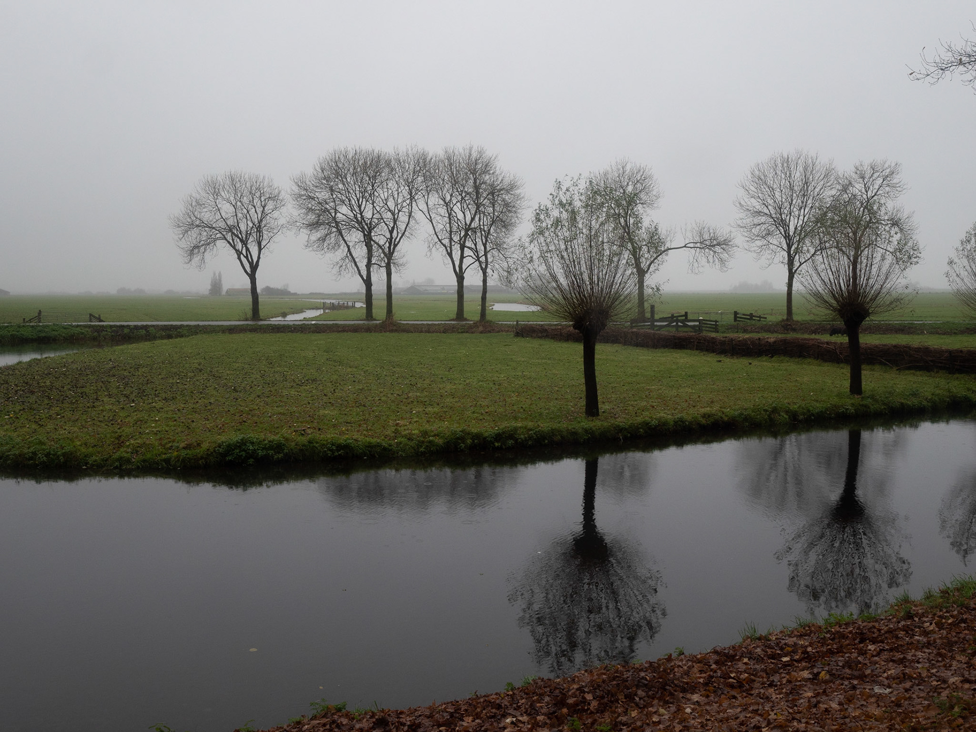 P1068461 Edam "Misty Day"