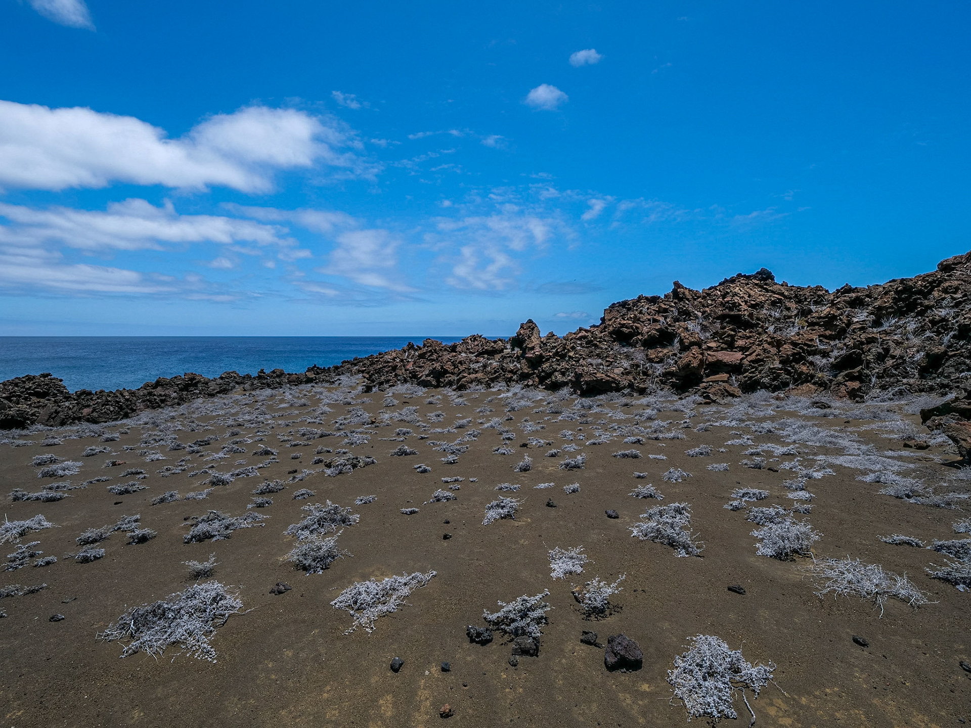 P1001663 Bartolomé Island Galapagos