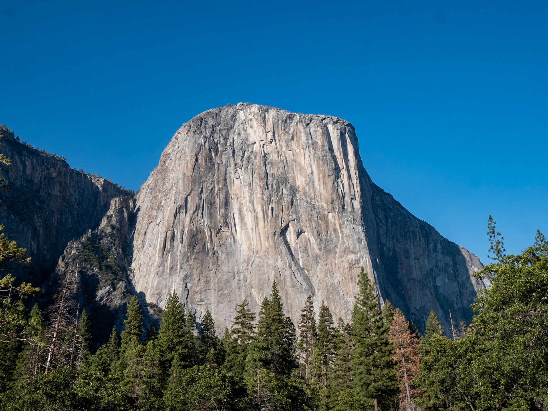 P1135338 El Capitan at Yosemite National Park