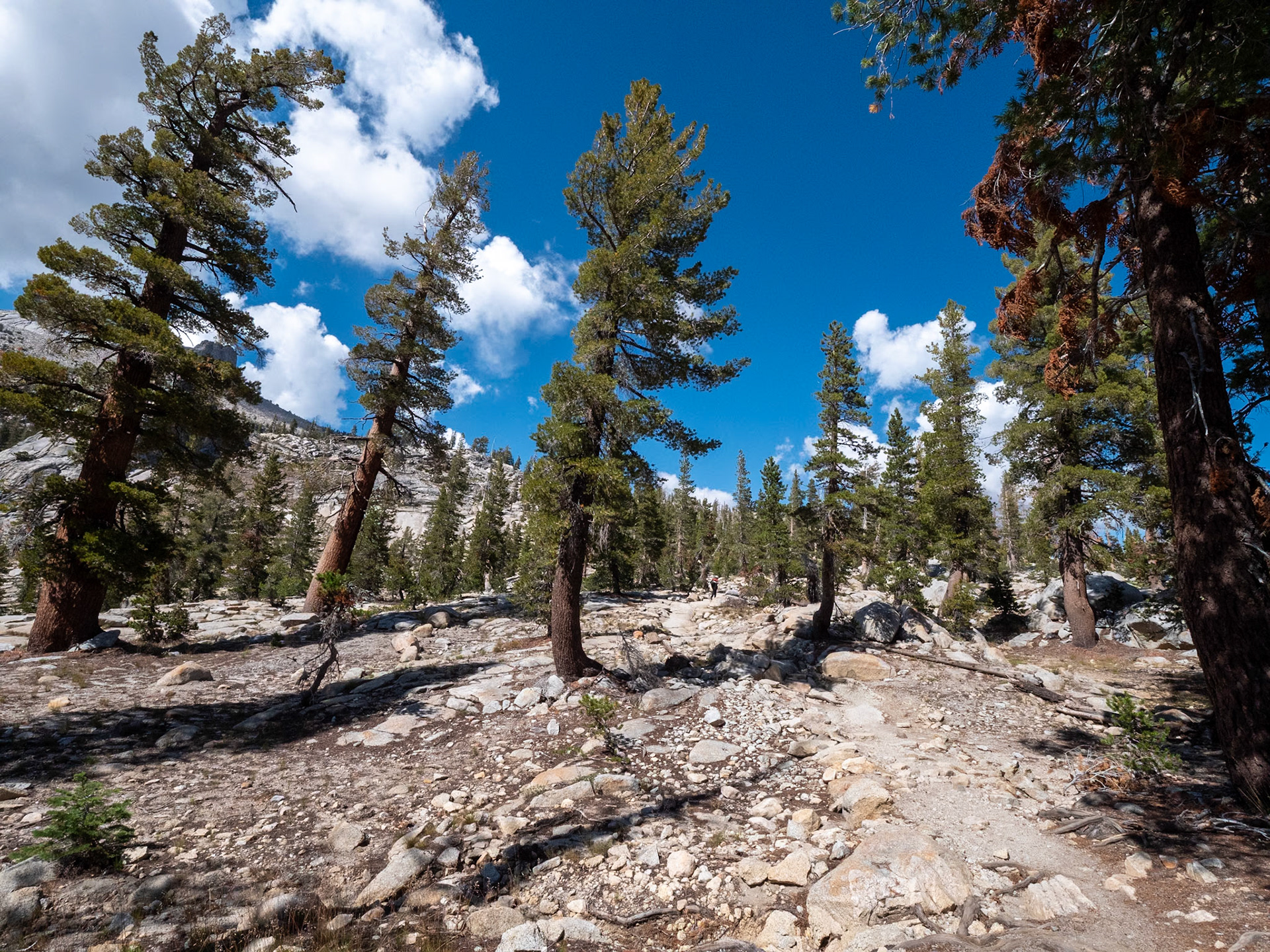 P1135253 Yosemite National Park