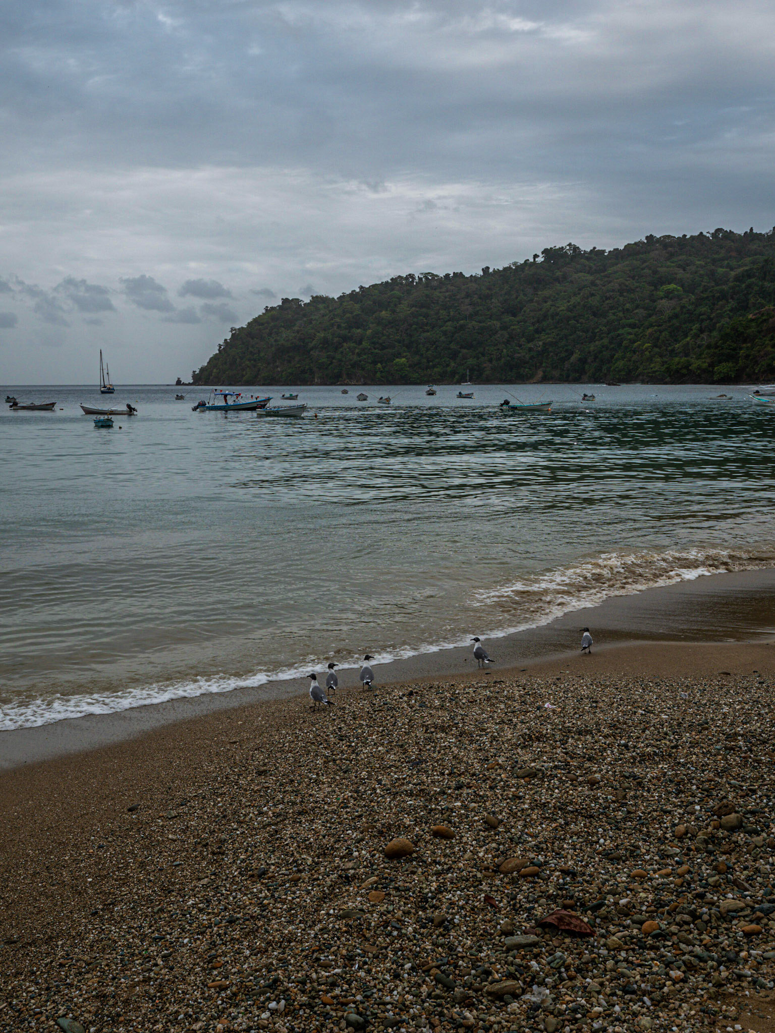 P1055157 Charlotteville