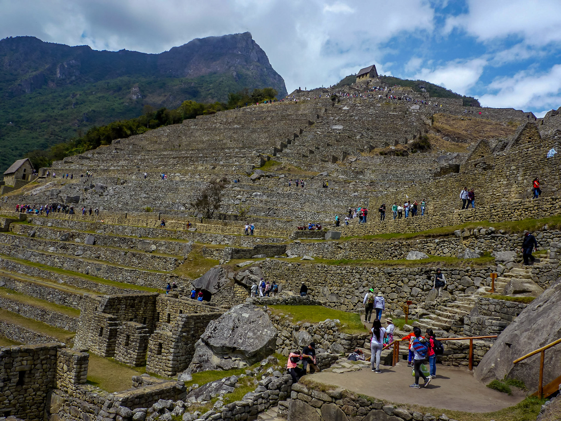 P1090202 Machu Picchu