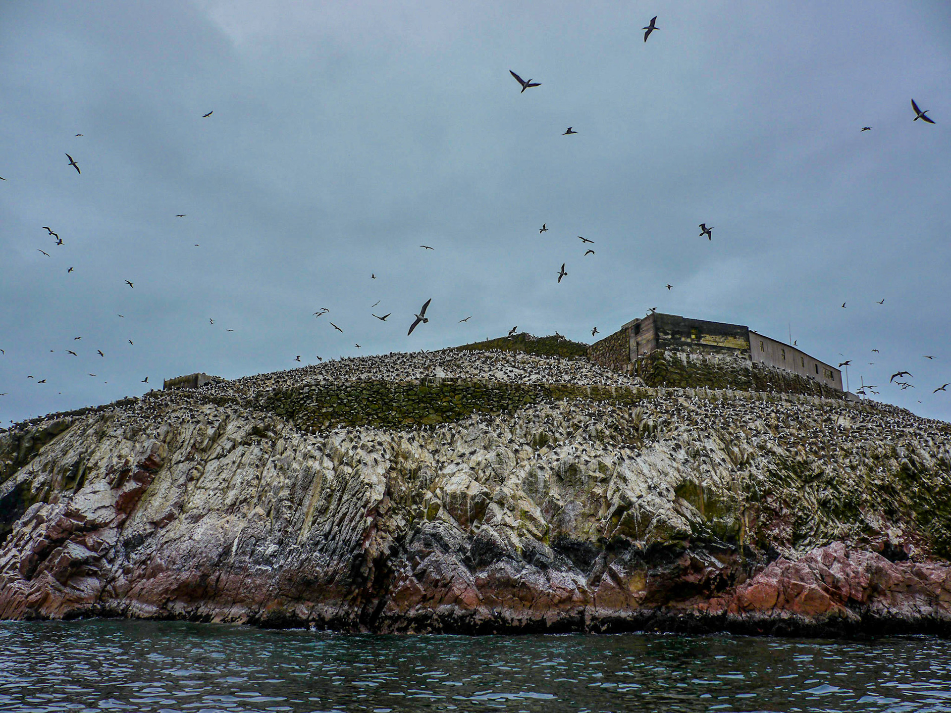 P1090686 Ballestas Islands