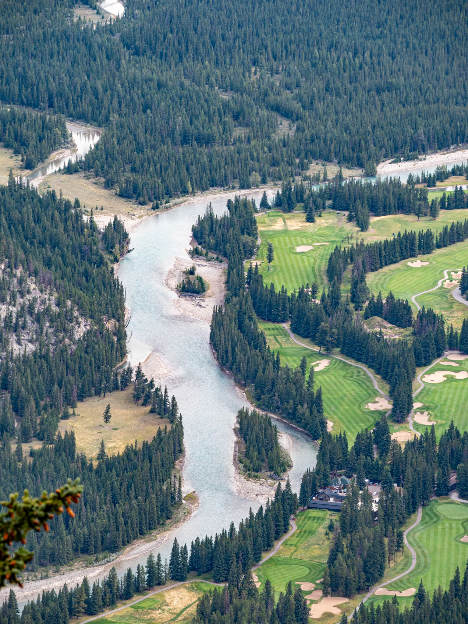 View from Banff Gondola