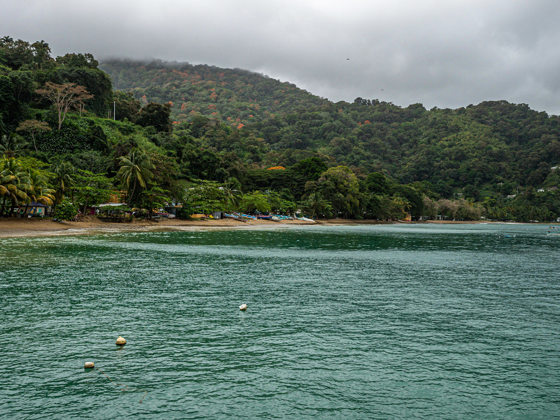 P1055699 Charlotteville